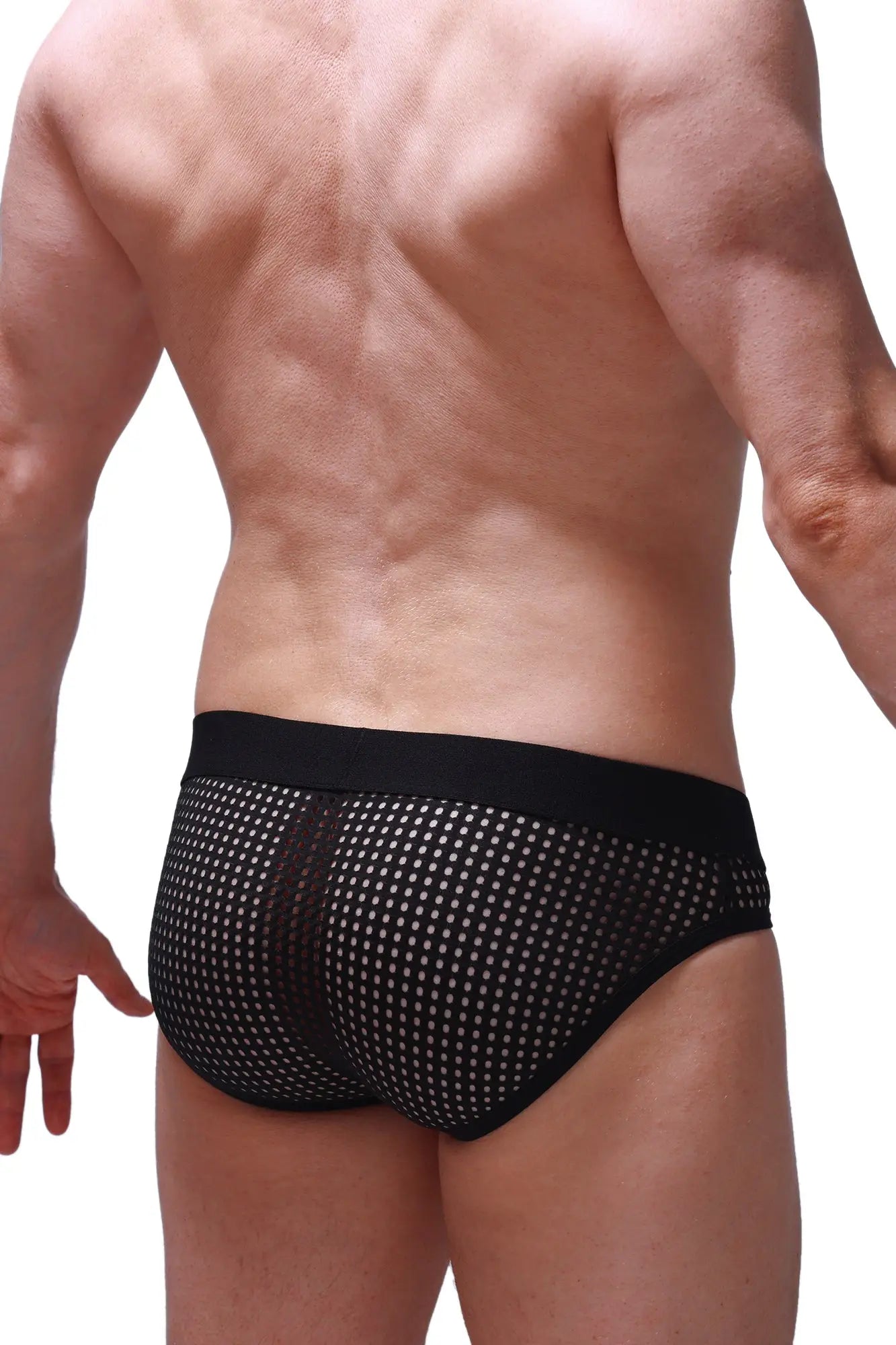 Black mesh briefs petitq brief pluven durtol black with solid waistband and white dot pattern