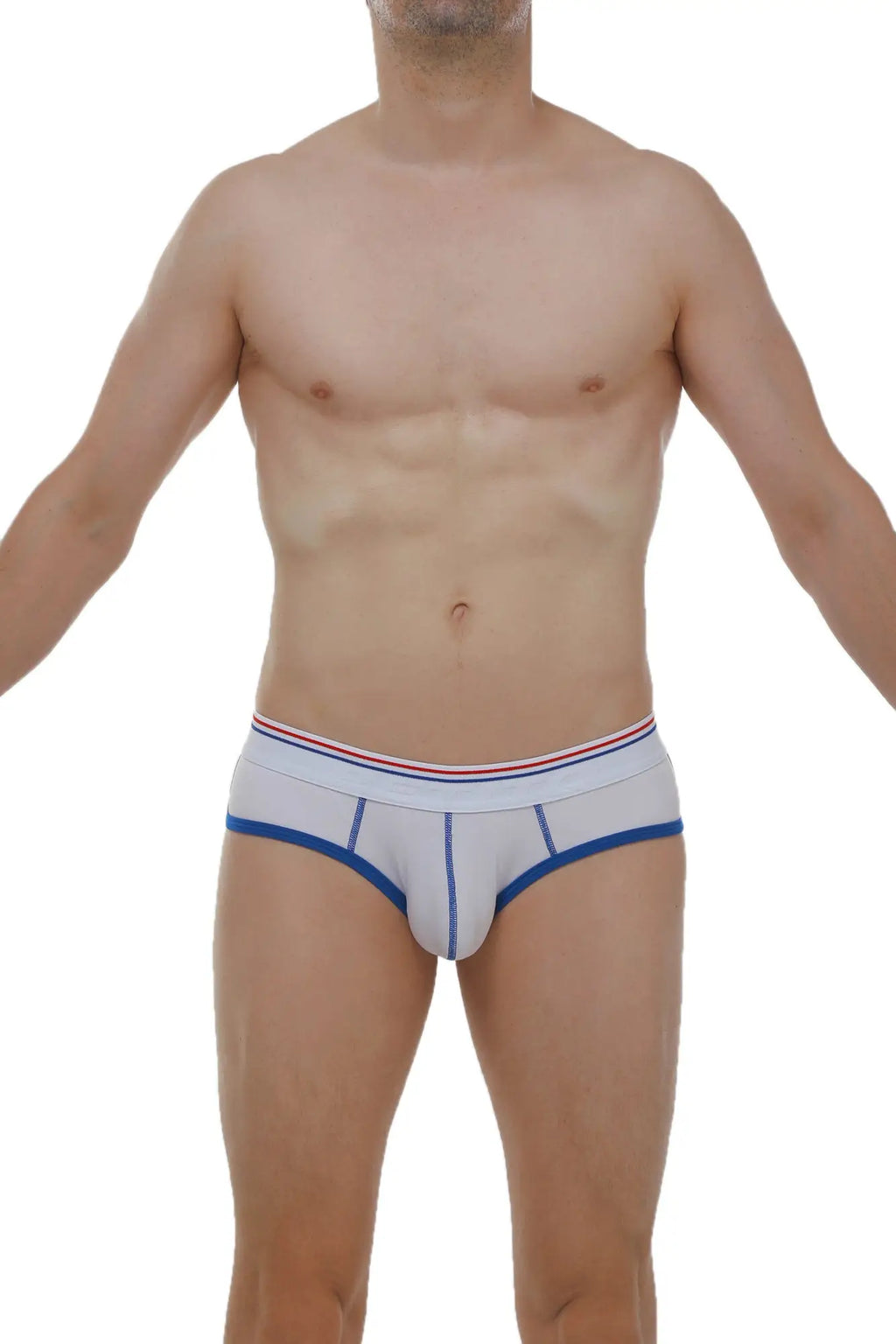 PetitQ brief retro modal white light gray modal briefs with blue trim and red white and blue striped waistband