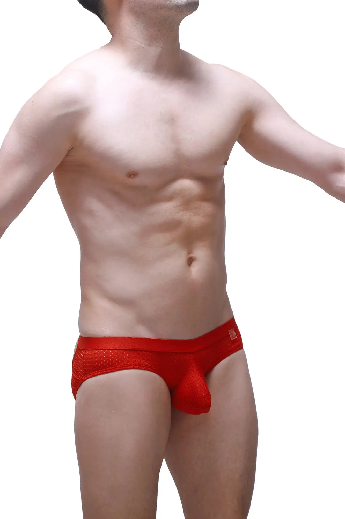 PetitQ brief scaux bee red red mesh briefs with solid red pouch and waistband for comfortable everyday wear