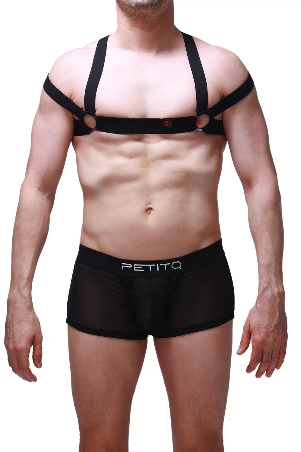 Black mesh briefs with petitq branding on the waistband featured in the petitq chest harness louens black product image