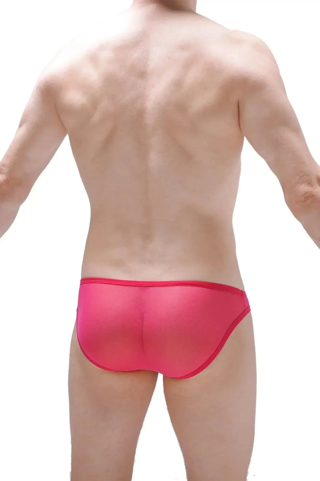 PetitQ crotchless bikini net fuchsia bright pink sheer mesh briefs with solid red waistband front view