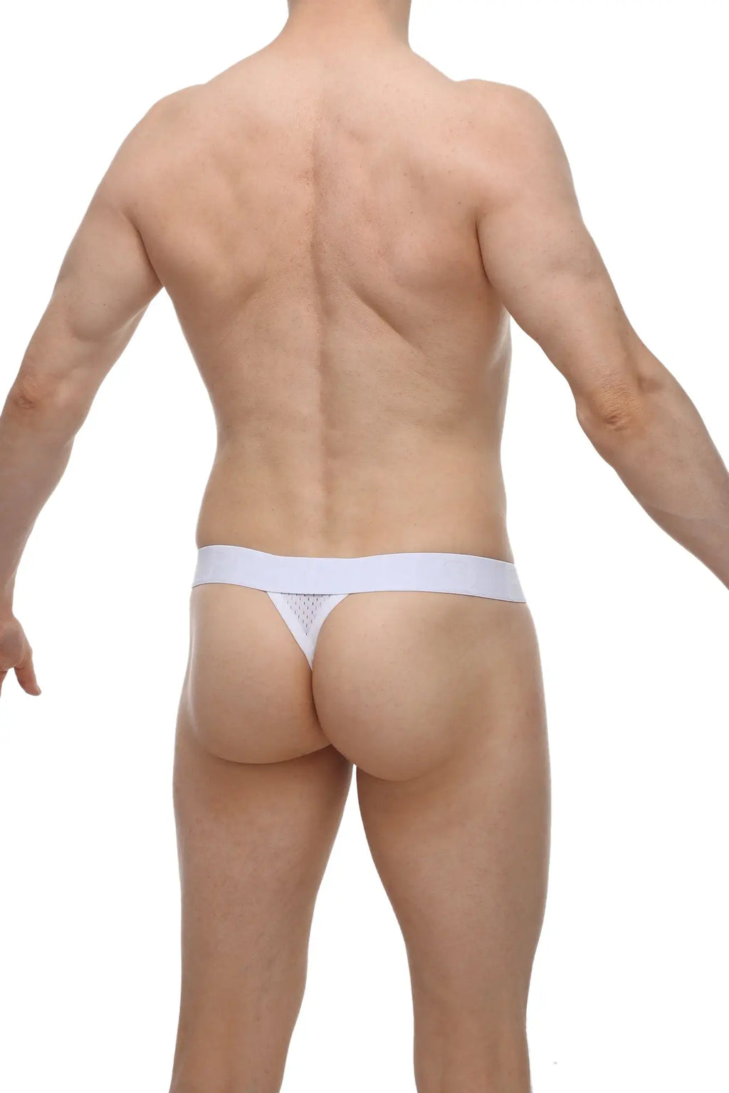 White lace thong petiteq g-string attin bee white with solid waistband shown from the back side