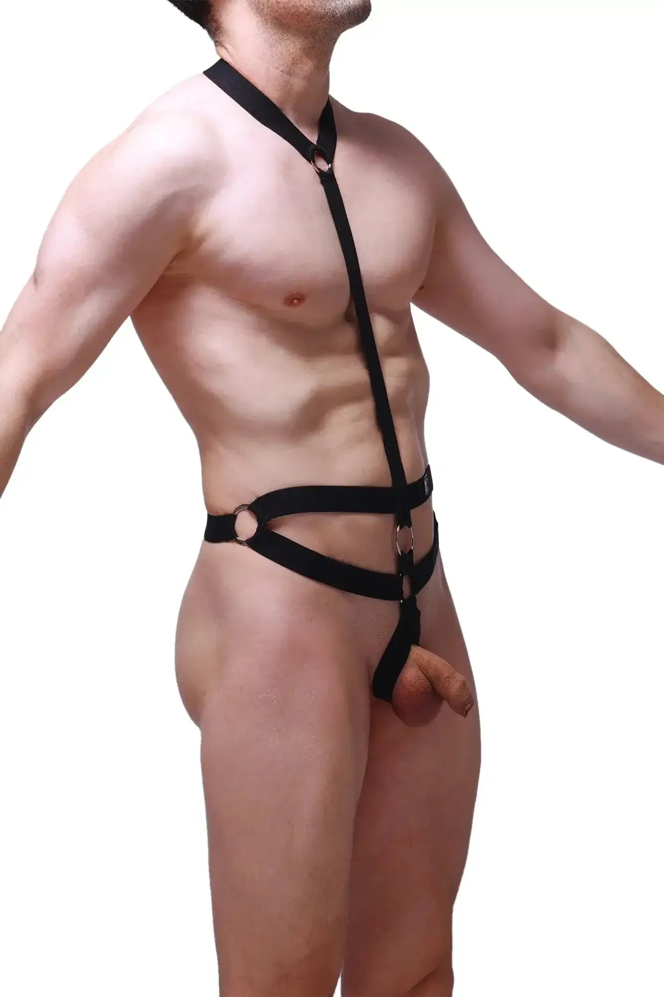 Black leather PetitQ harness Augnax with metal rings and adjustable straps shown from the back side