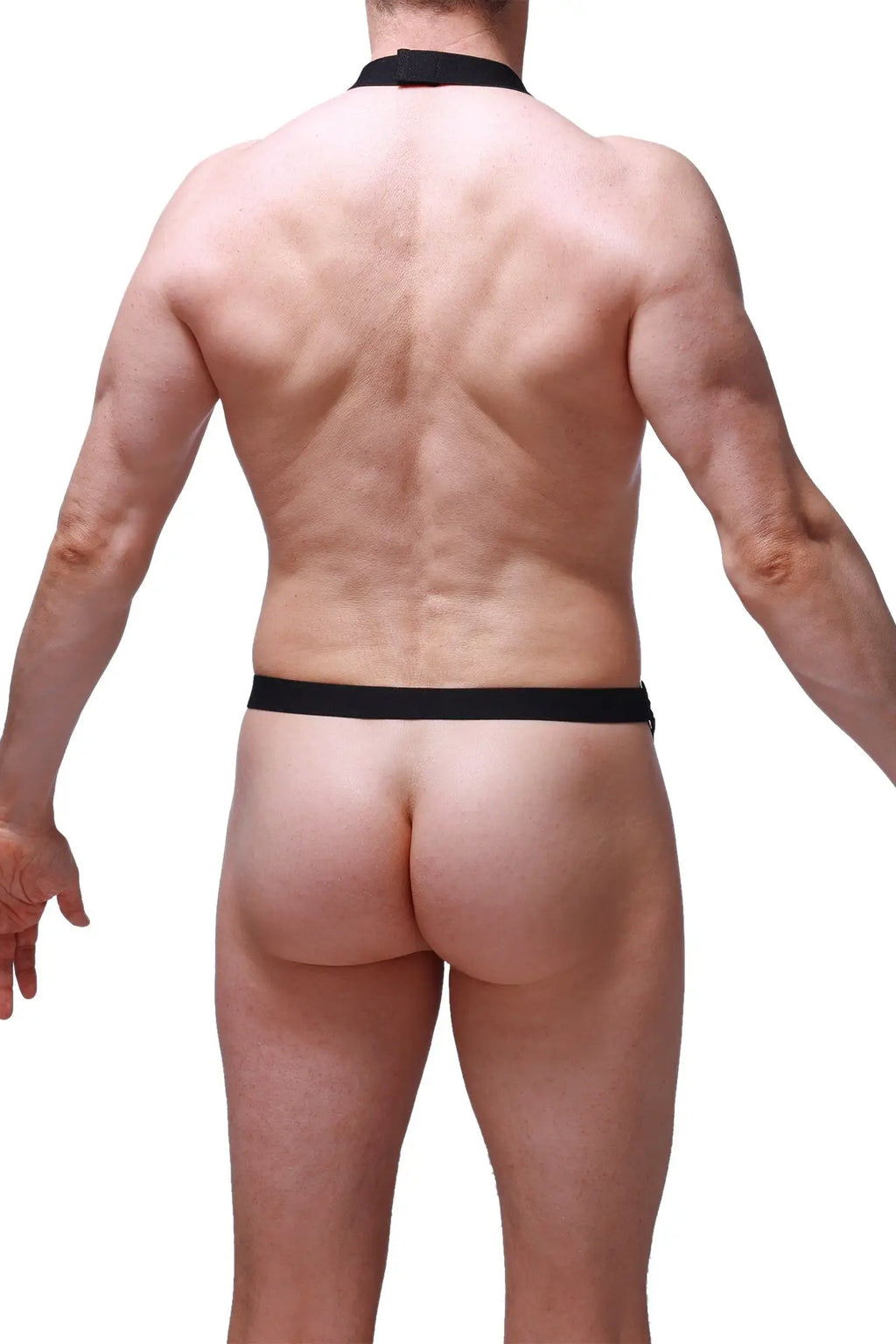 Black thong with narrow smooth elastic band from petitq harness augnax black showing back side details