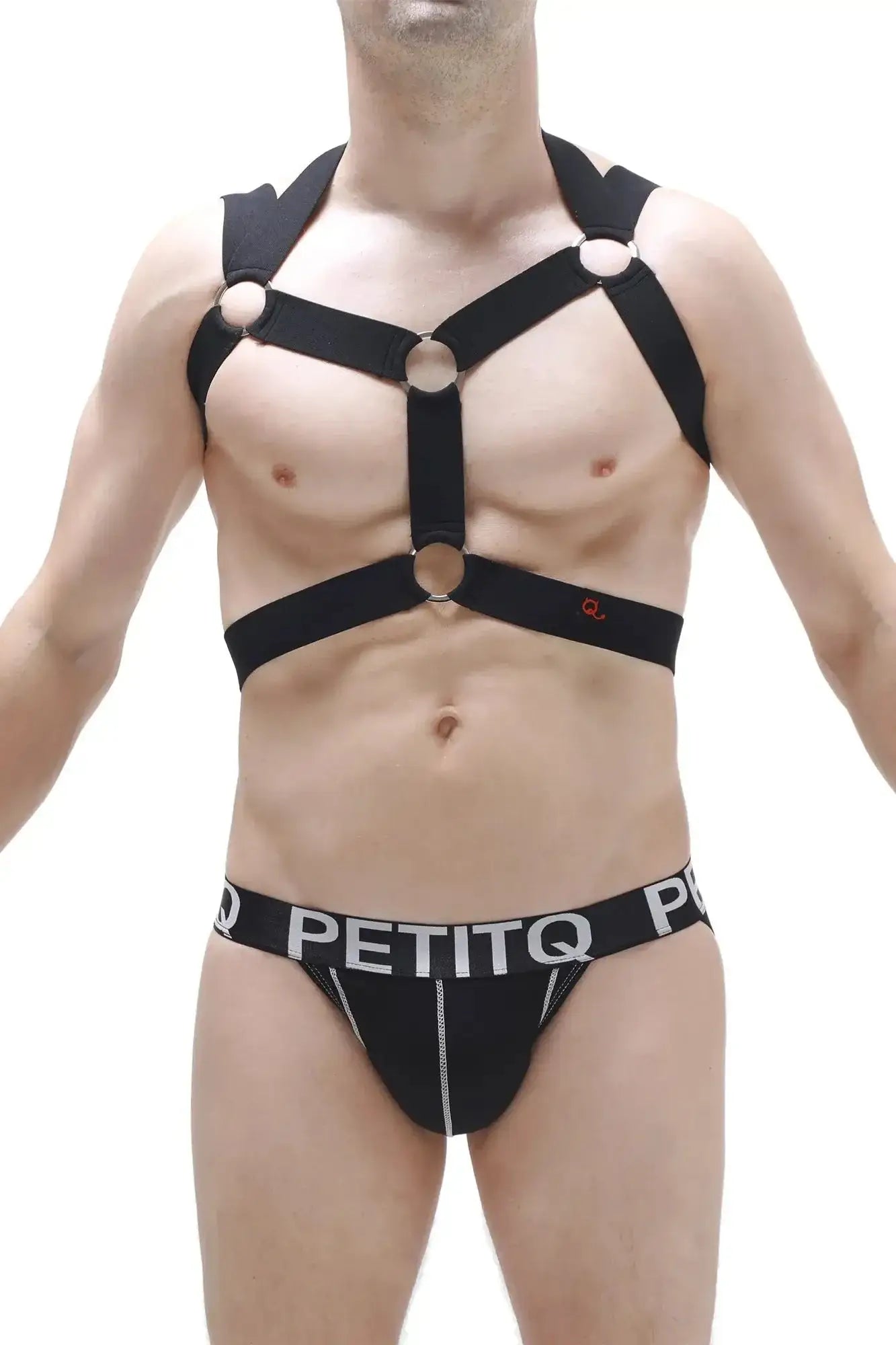 Black petitq harness ancol with adjustable straps and circular metal rings worn over the torso
