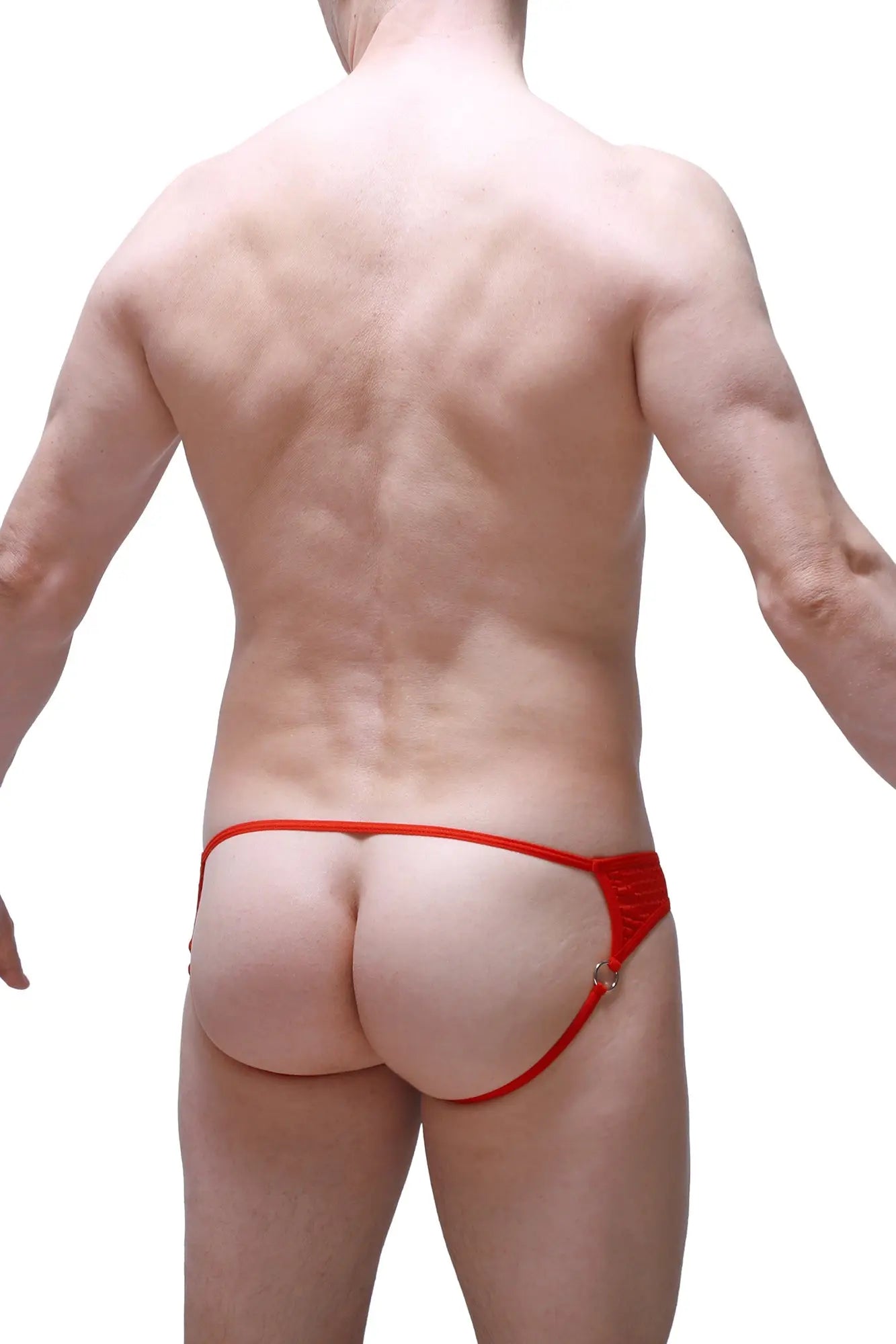 PetitQ jockstrap Anglas Bee red thong with thin elastic waistband and small metallic side clasp in back view