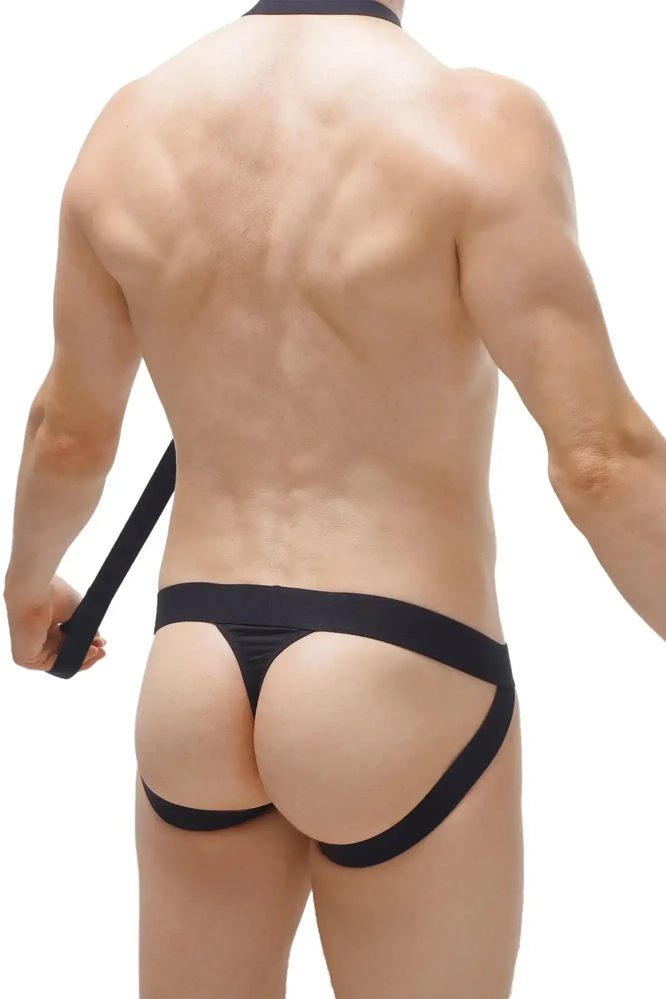 Black PetitQ Jockthong Doggy briefs with high-cut sides, wide waistband, and side straps in form-fitting design