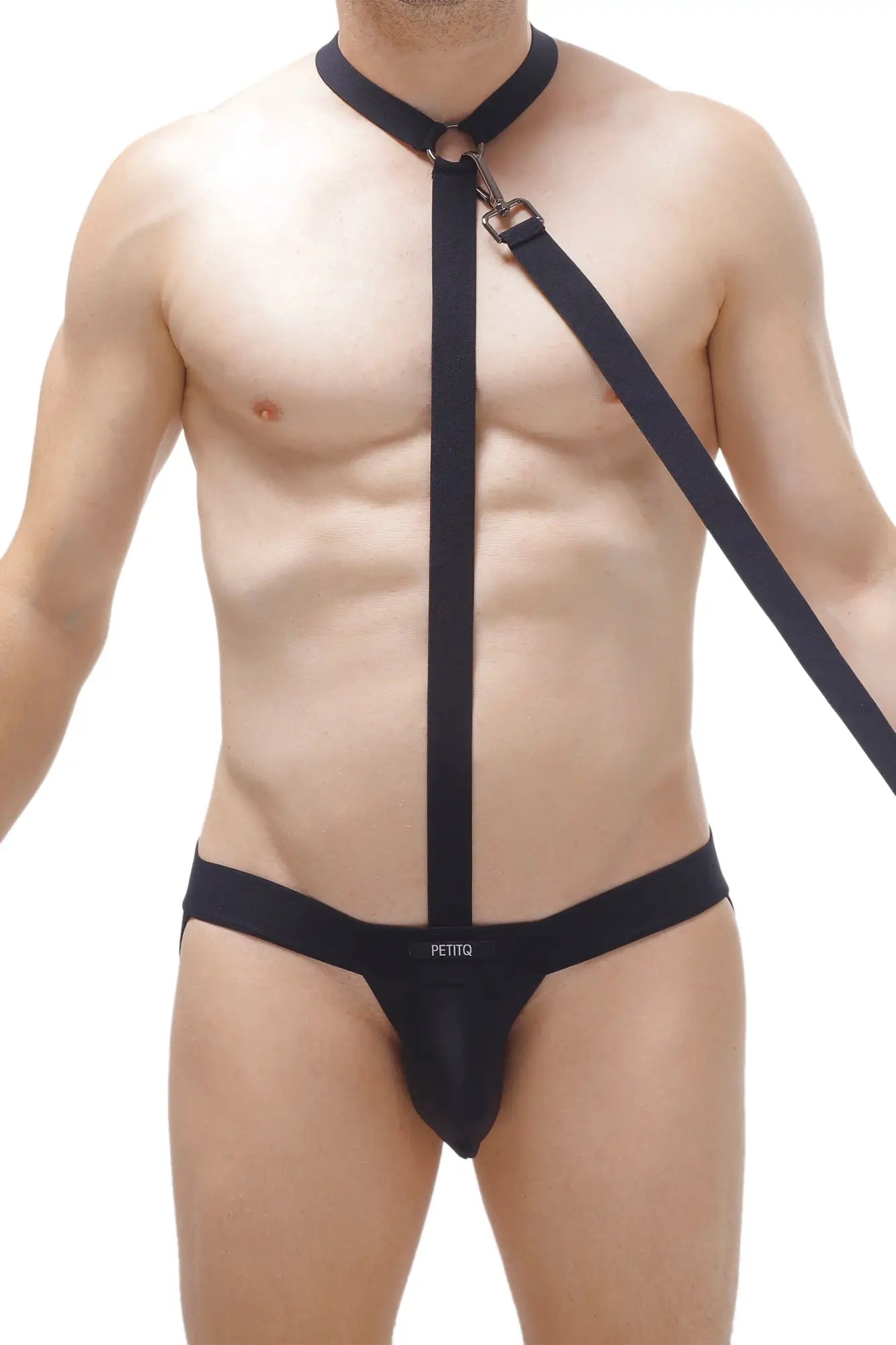 Black leather PetitQ jockthong doggy harness with adjustable straps and metal hardware shown from the back side