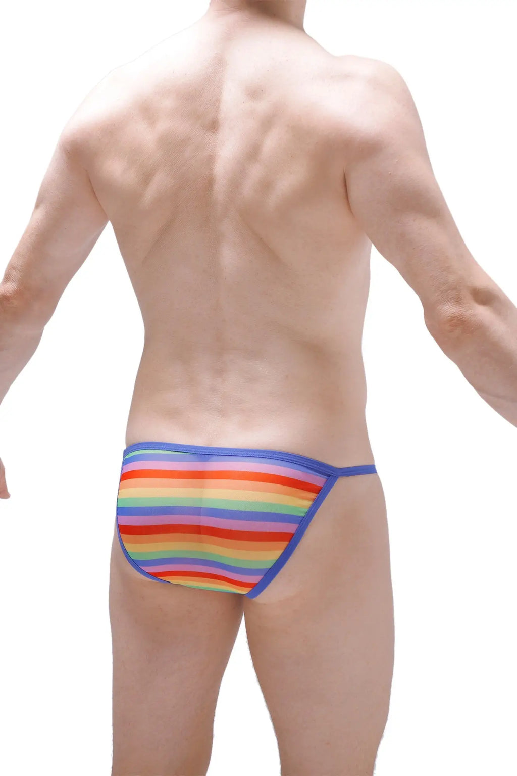 Petitq kini net rainbow sheer mesh briefs with rainbow stripes and a solid blue waistband