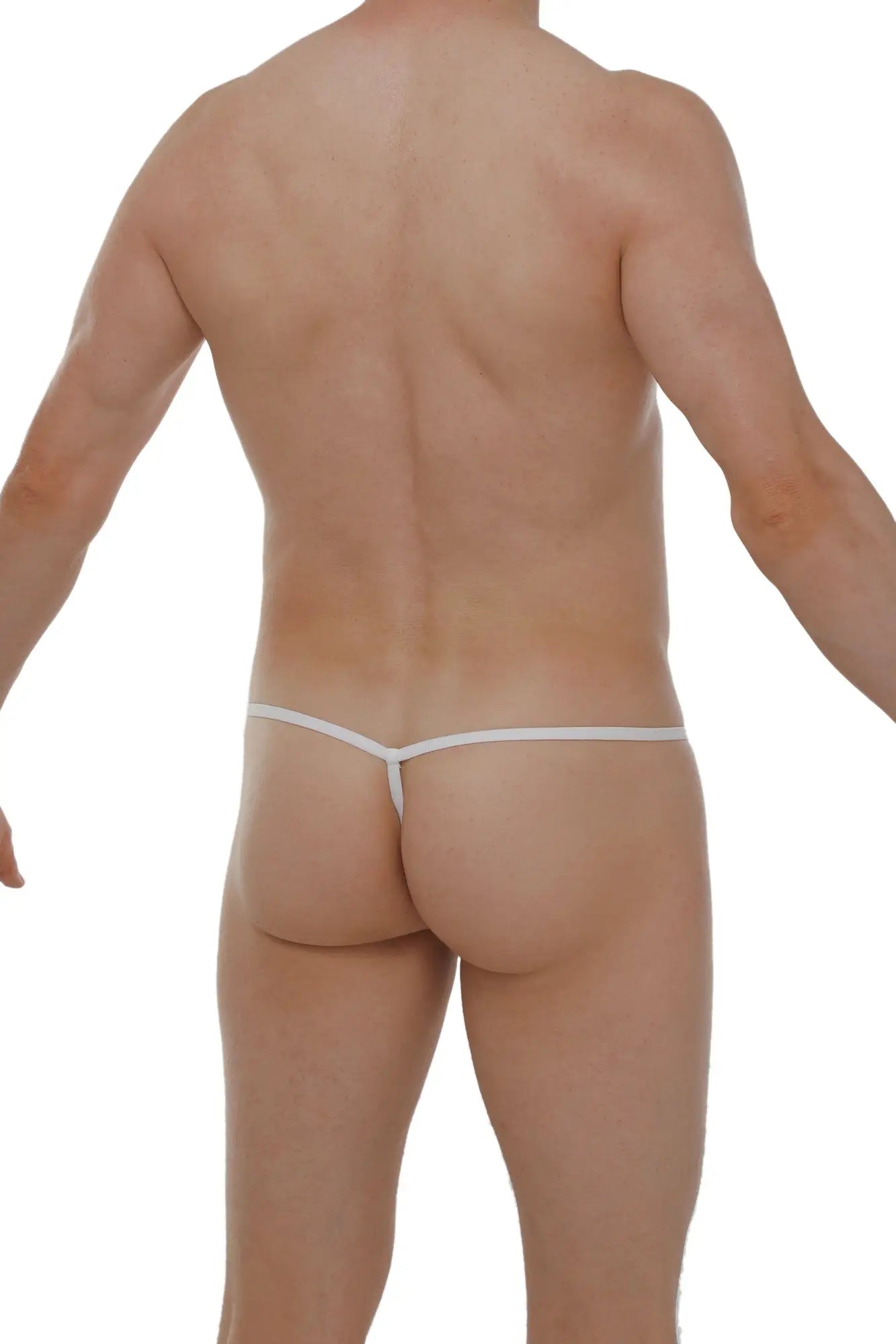 White thong with a thin seamless design made of lace in the petitq micro g-string lace white product back view
