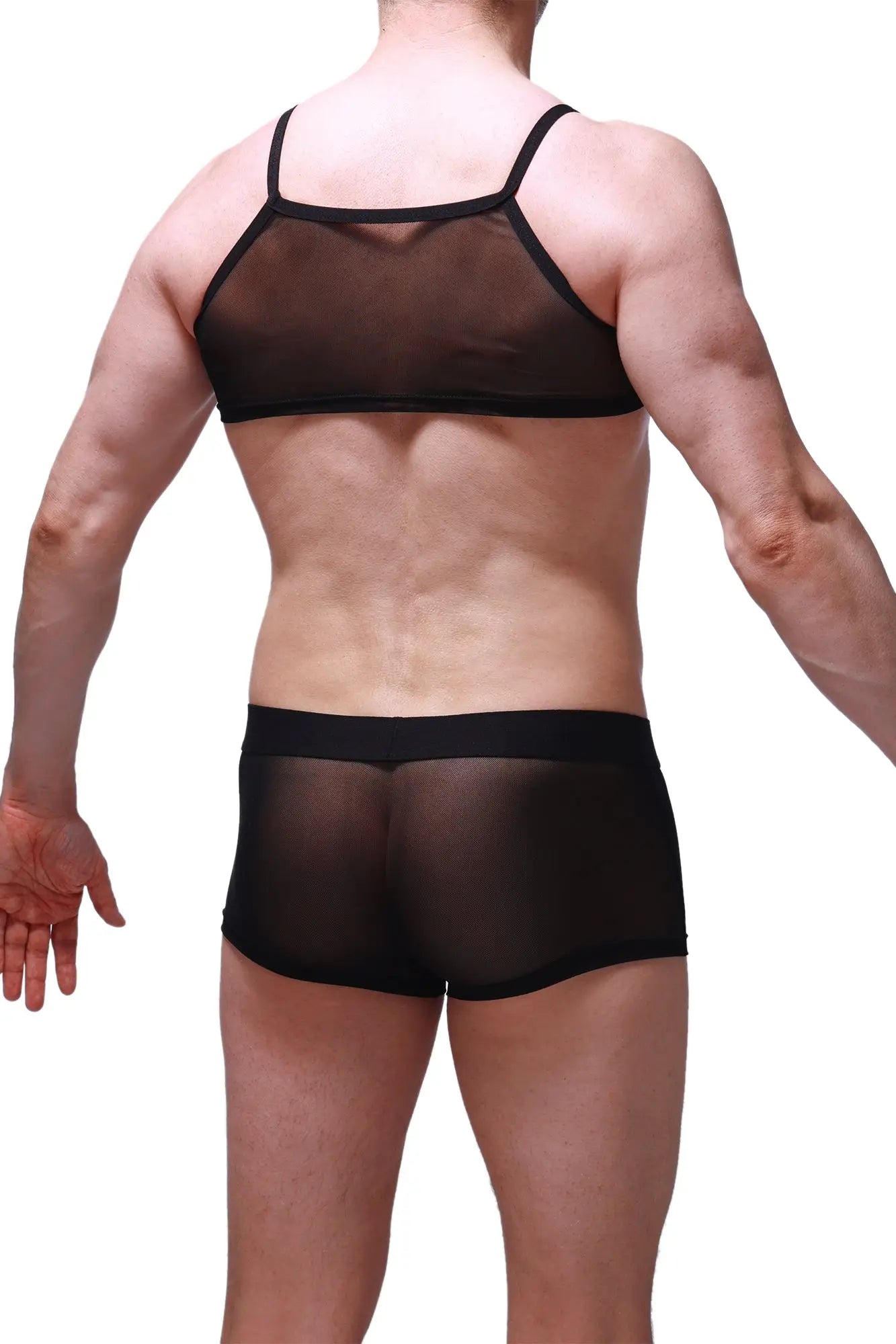 Black sheer mesh two-piece underwear set with black elastic trim petitq micro tank net black front view