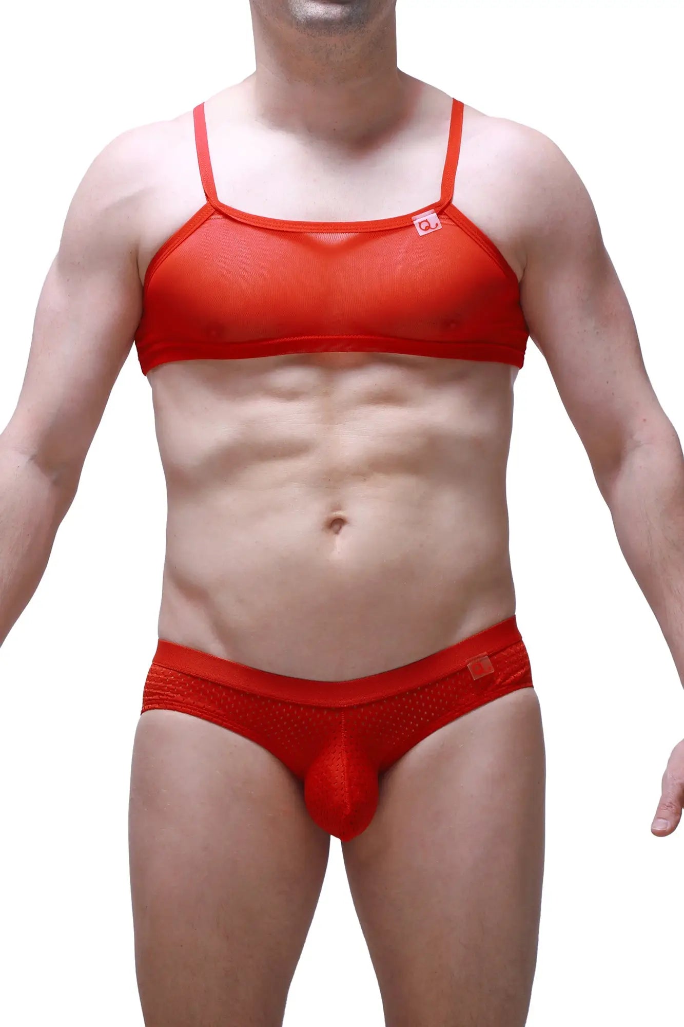 Red mesh bra and matching red lace-trimmed briefs from petitq micro tank net lingerie set