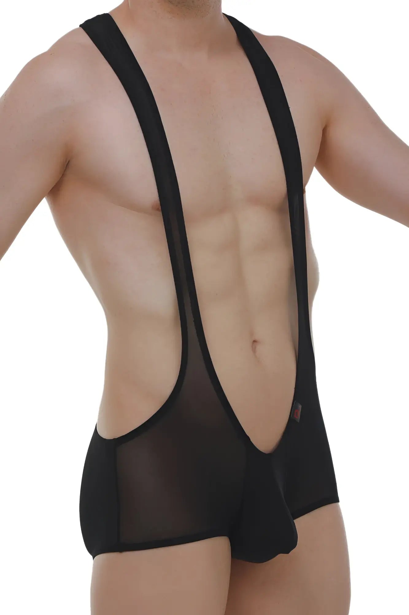 Black sheer mesh suspenders with solid black waistband and leg openings from petitq mini singlet net black