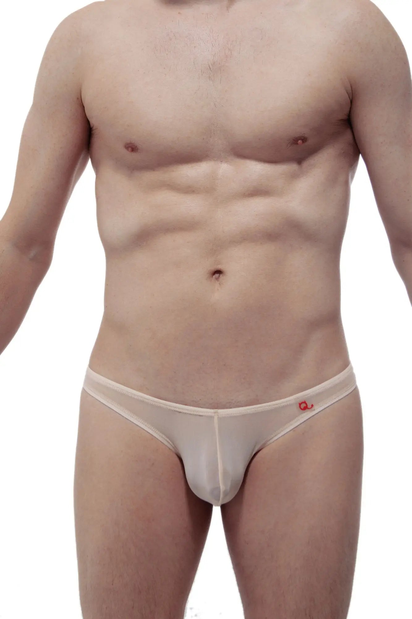 Beige sheer mesh briefs with a small red logo on the side from PetitQ net thong colline nude collection