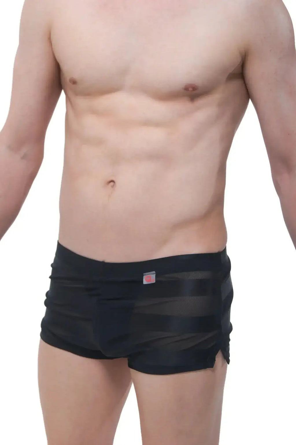 PetitQ shorts mesh stripe jock black swim trunks in black mesh with subtle stripes and red logo on waistband
