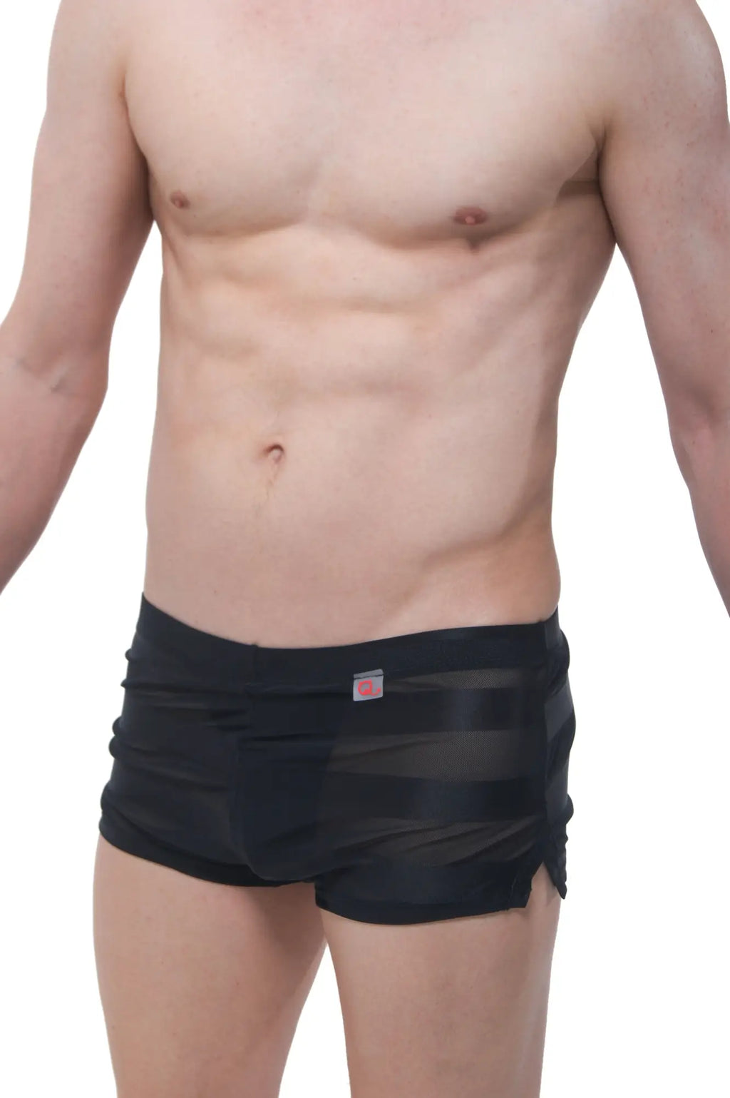 PetitQ shorts mesh stripe jock black swim trunks in black mesh with subtle stripes and red logo on waistband