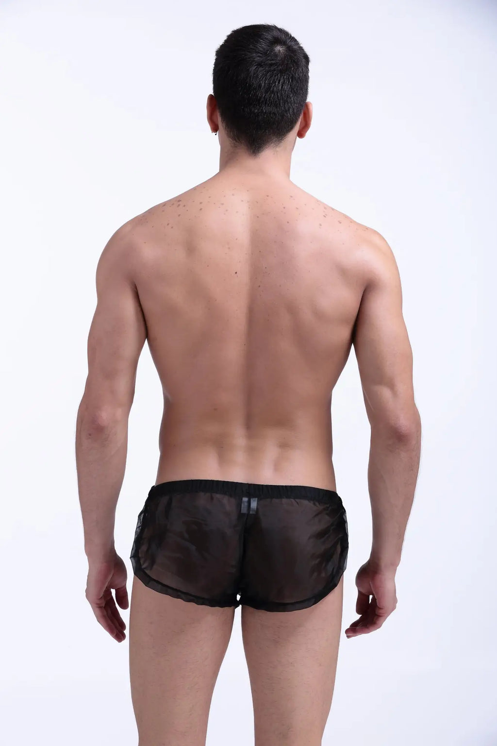 Black sheer mesh briefs petitq snap shorts petitq black showing back with solid waistband and vertical stripes