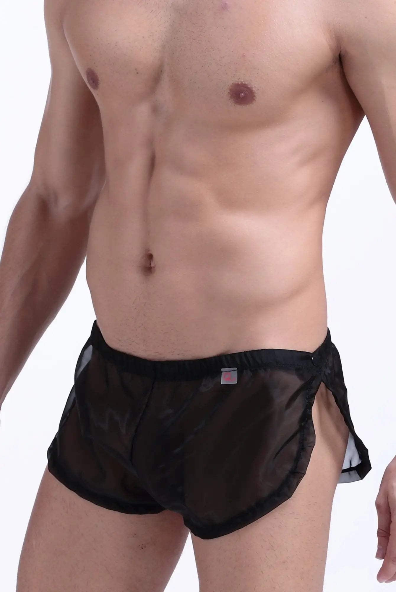 Black sheer mesh briefs with solid black waistband and side flaps petitq snap shorts petitq black