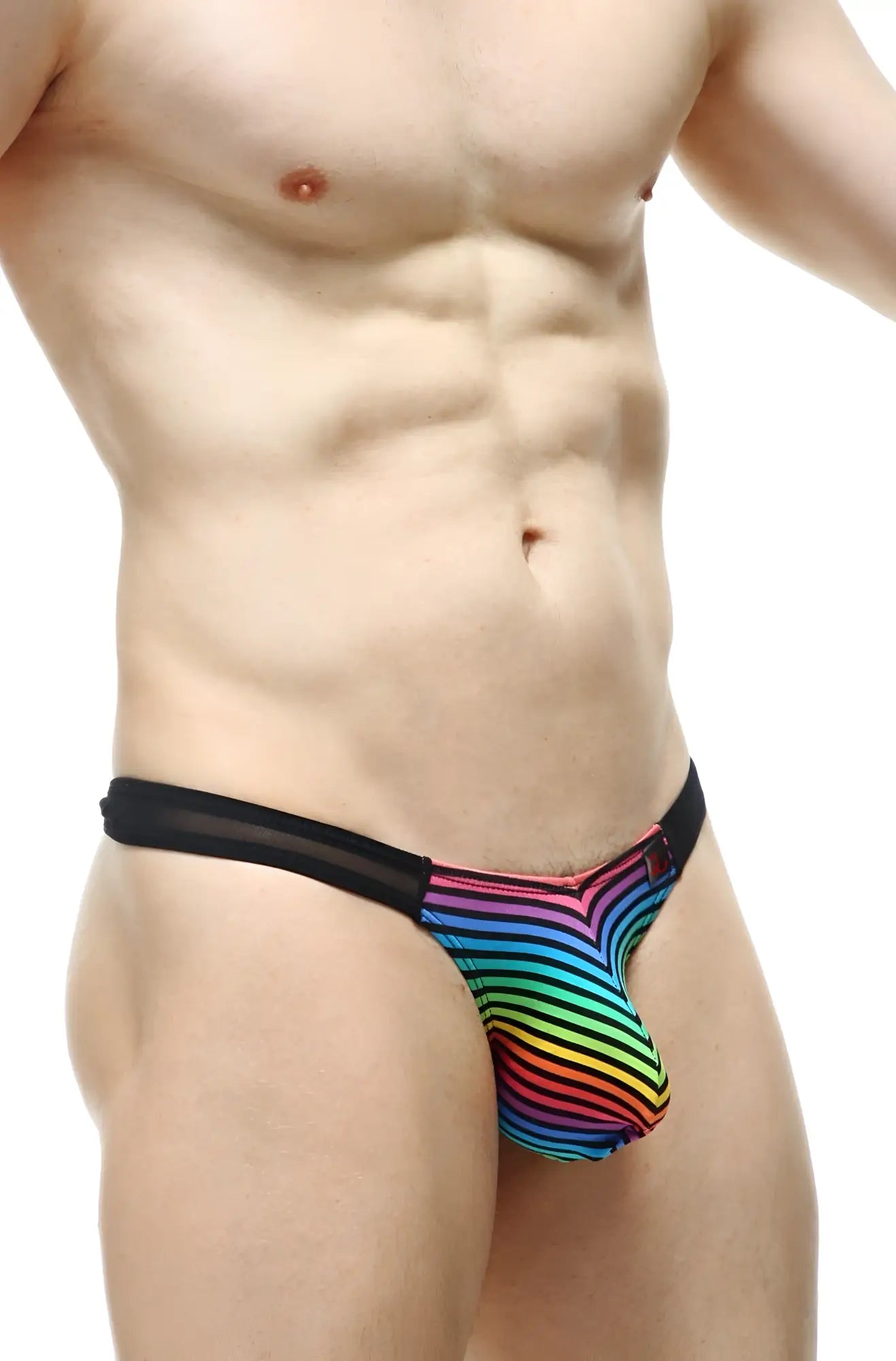 Rainbow-striped sheer mesh thong with black elastic waistband by petitq shown from the back side