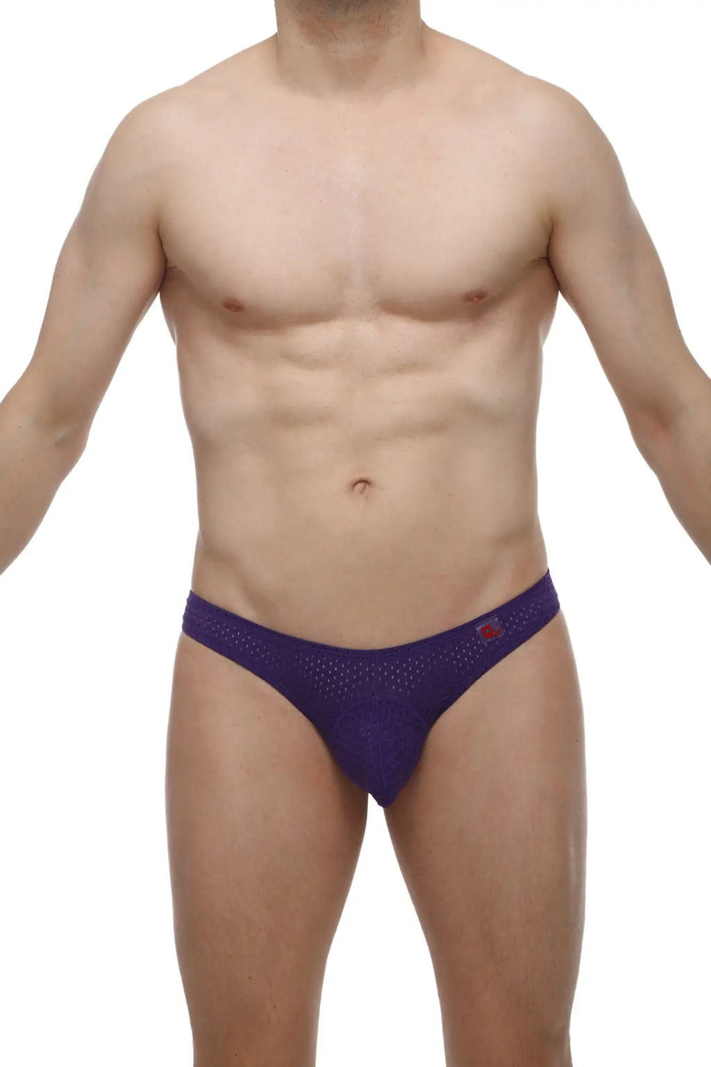Purple mesh thong briefs with subtle red petitq logo on waistband for comfortable stylish wear