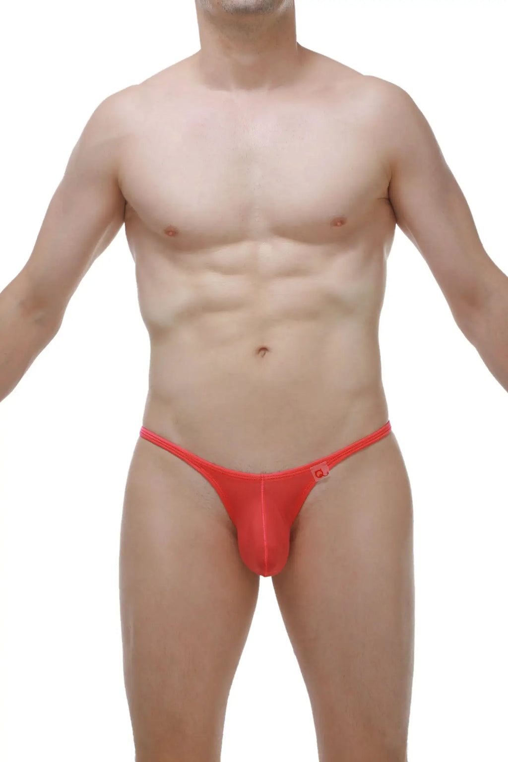 Bright red sheer mesh thong with small logo on right hipband petitq thong cernier plum crimson back view