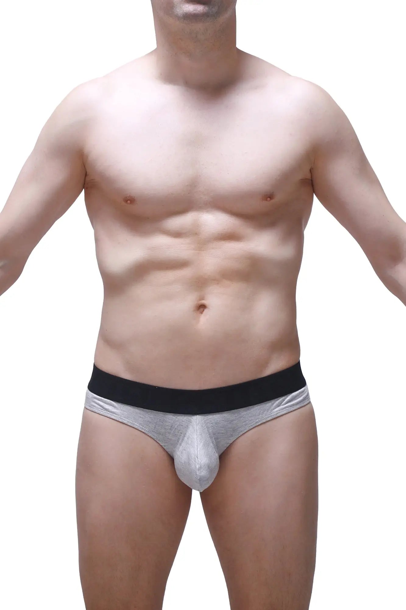 Petitq thong dome modal grey silver metallic briefs with black elastic waistband front view