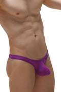 Purple sheer mesh thong with contoured design from petitq in magenta color showing front view