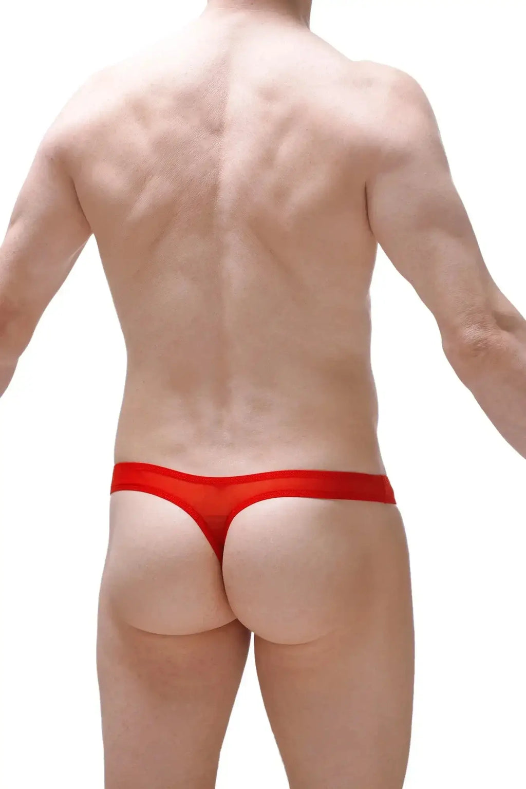 PetitQ thong dome net red sheer mesh red thong showcasing the back side with a delicate mesh design
