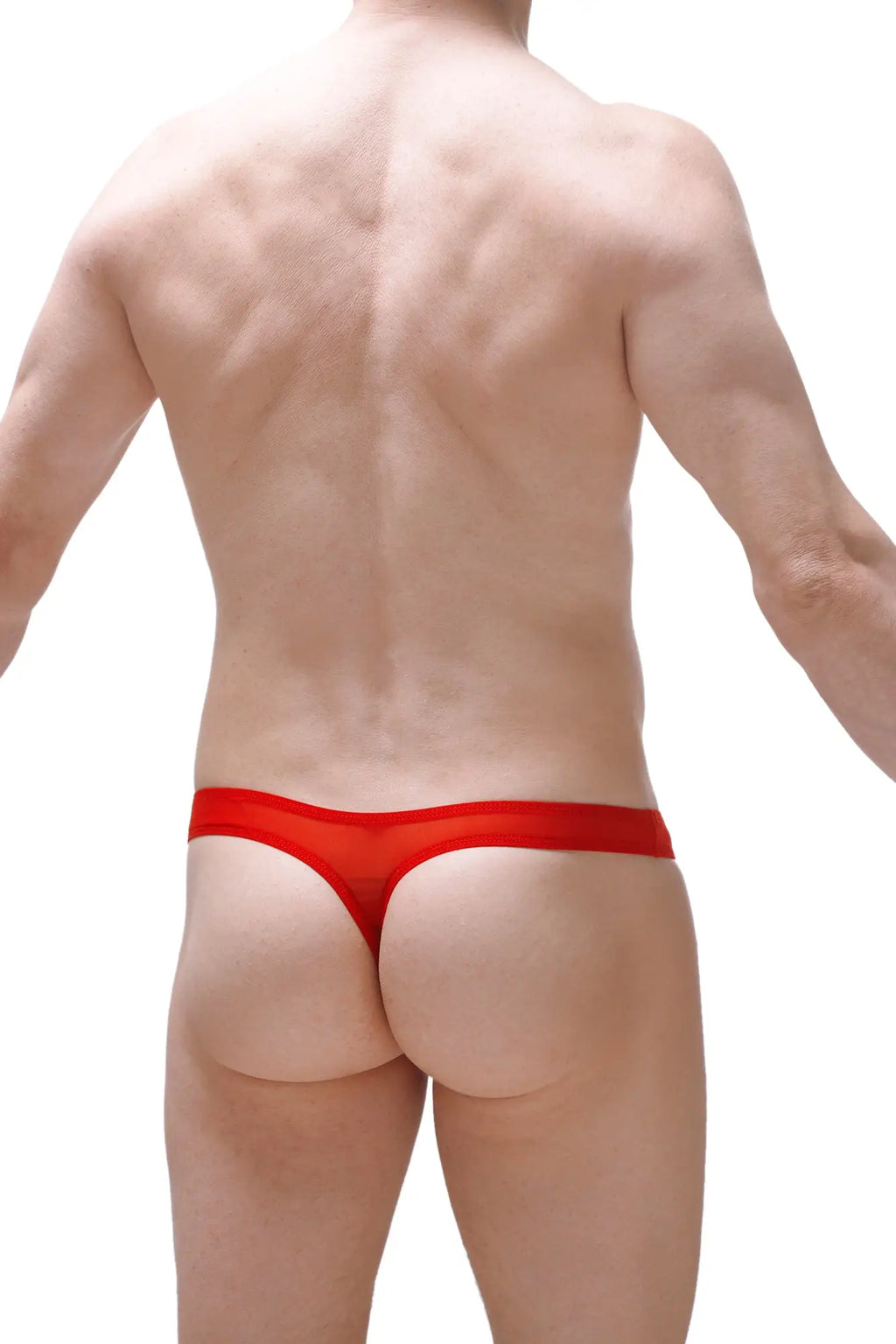 PetitQ thong dome net red sheer mesh red thong showcasing the back side with a delicate mesh design