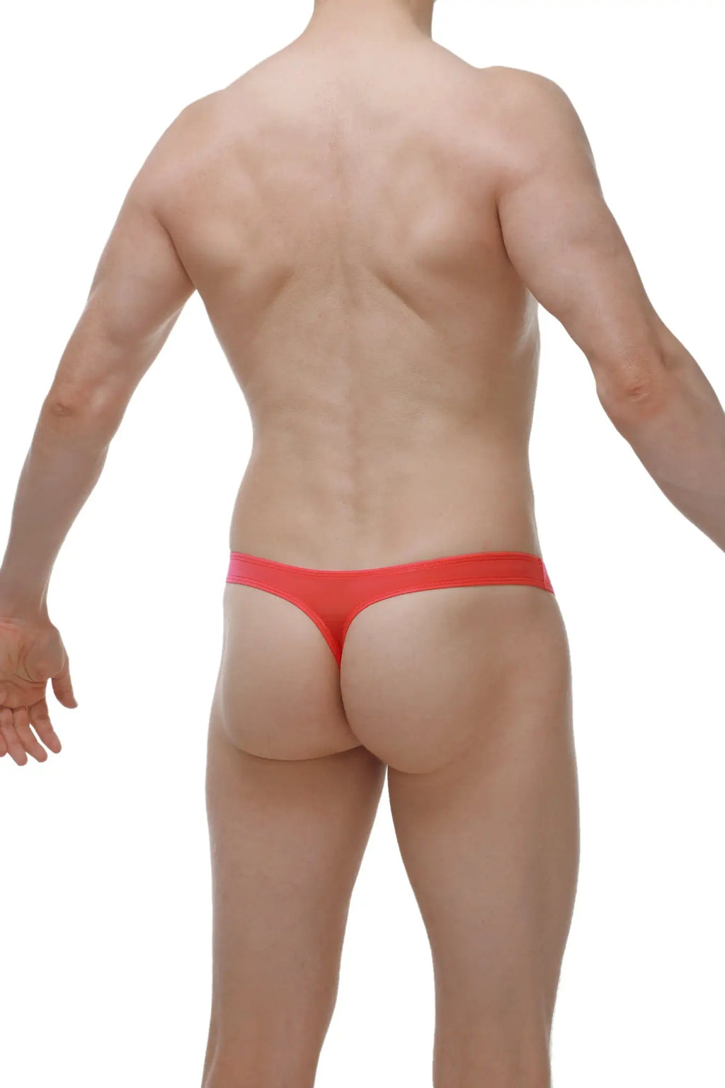 Petitq thong dome plum crimson red thong underwear with smooth stretchy fabric shown from the back side