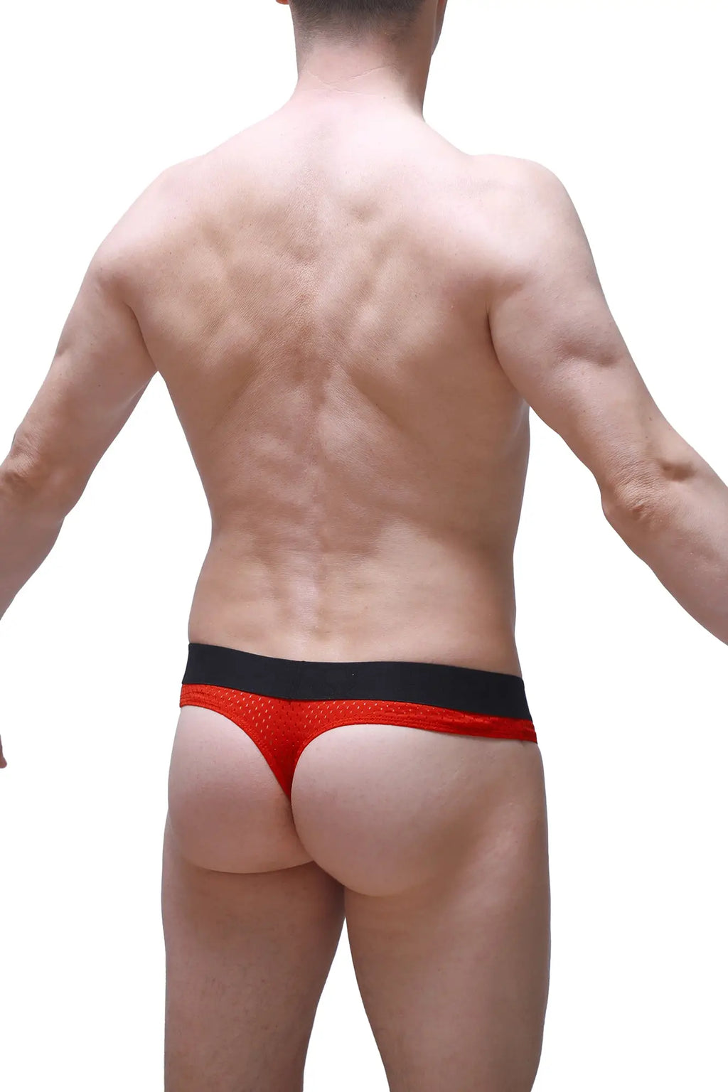 Red mesh thong with black waistband featuring a hole cockring by petitq in bee red shown from the back side