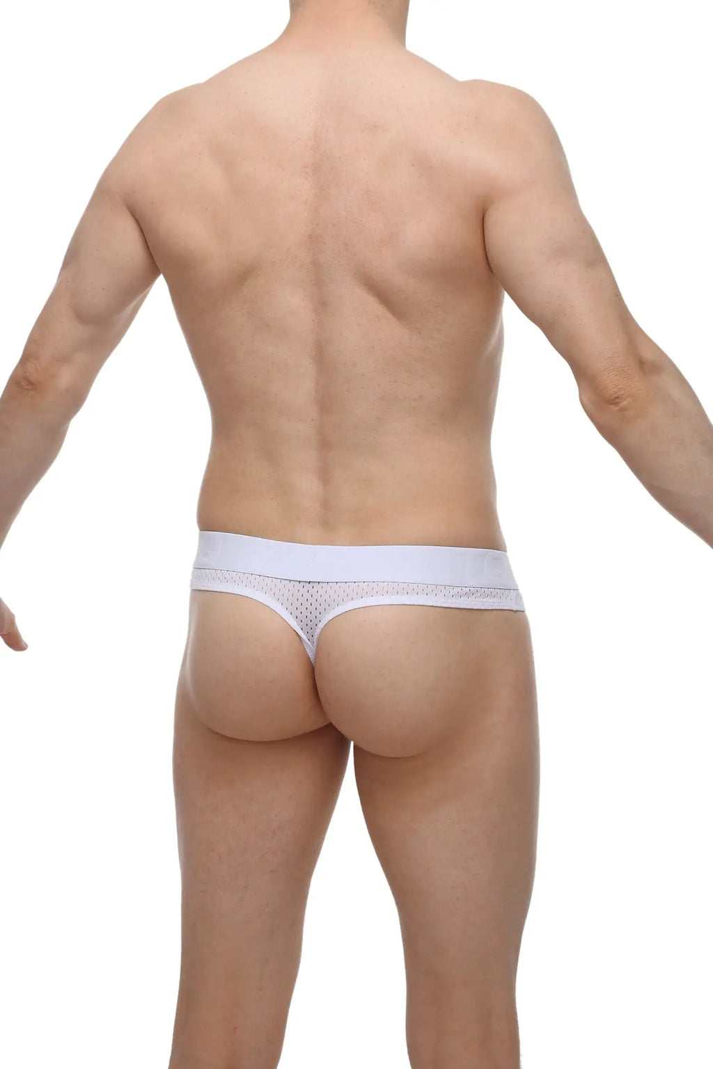 White mesh thong with solid waistband featuring a cockring hole by PetitQ in bee white color