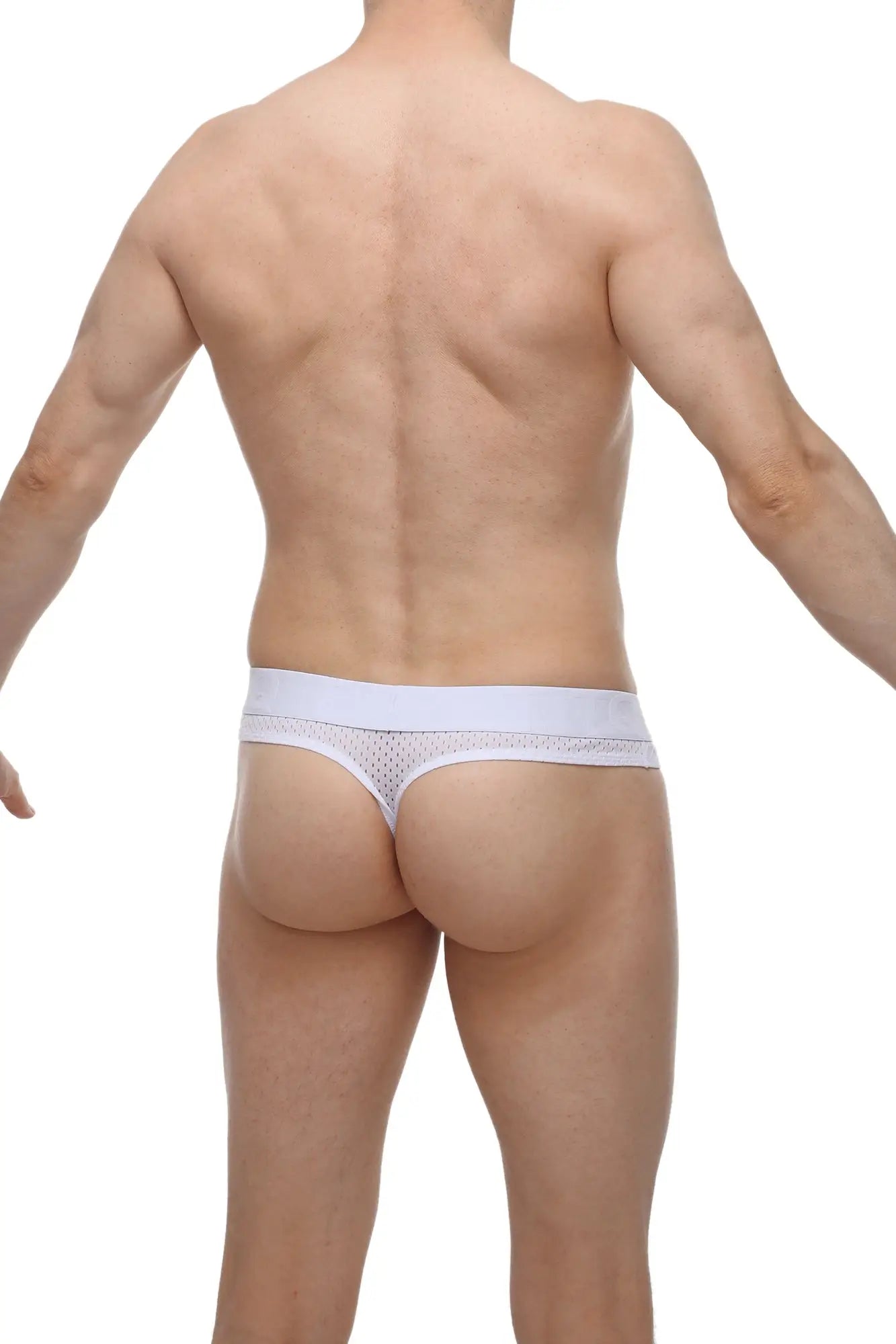 White mesh thong with solid waistband featuring a cockring hole by PetitQ in bee white color
