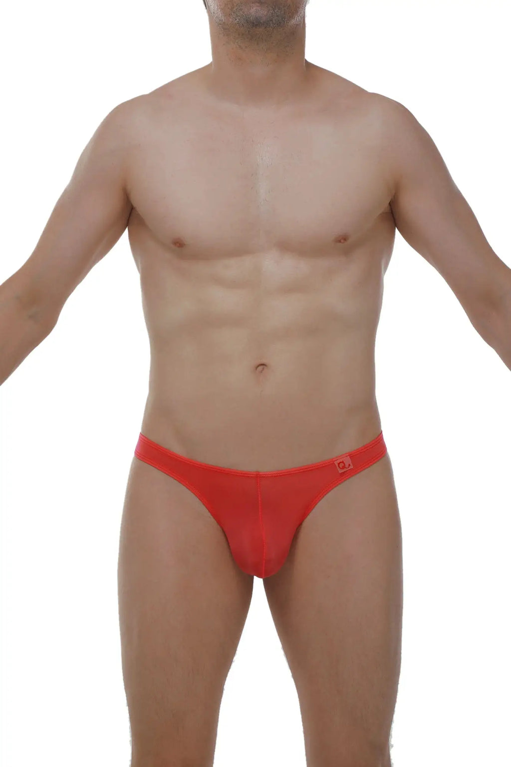 Red form-fitting men’s briefs with a subtle logo on the waistband from petitq thong lasso cockring plum crimson collection
