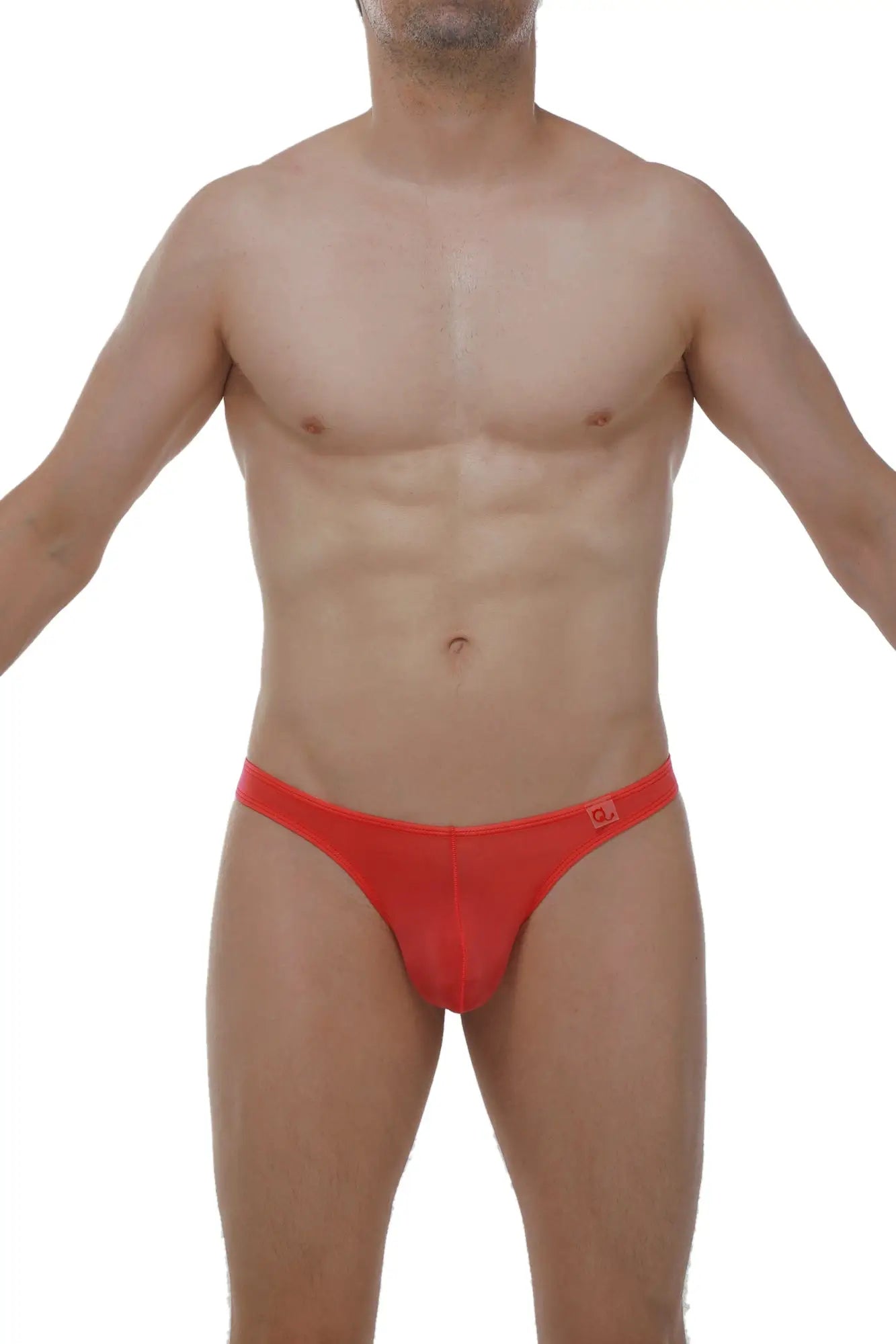 Red form-fitting men’s briefs with a subtle logo on the waistband from petitq thong lasso cockring plum crimson collection