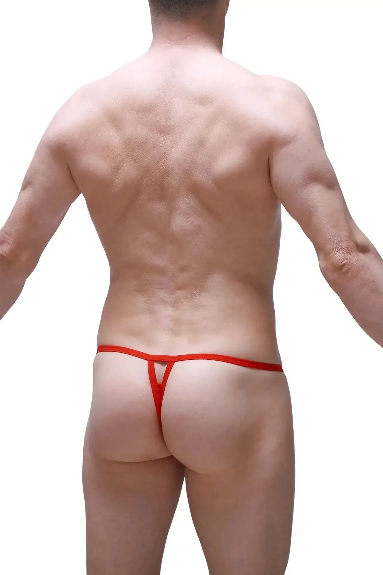PetitQ thong Migny lace red red thong with thin form-fitting lace design shown from the back side
