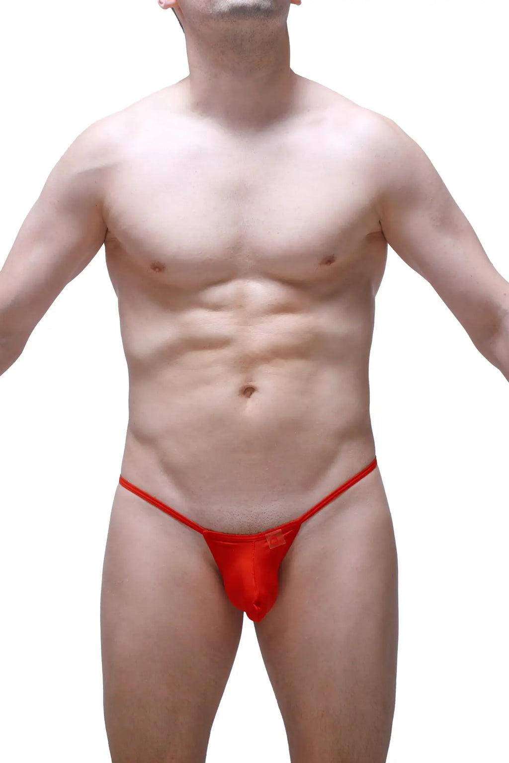 PetitQ thong Migny plum red sheer mesh thong with a sleek and minimalist design shown from the back side