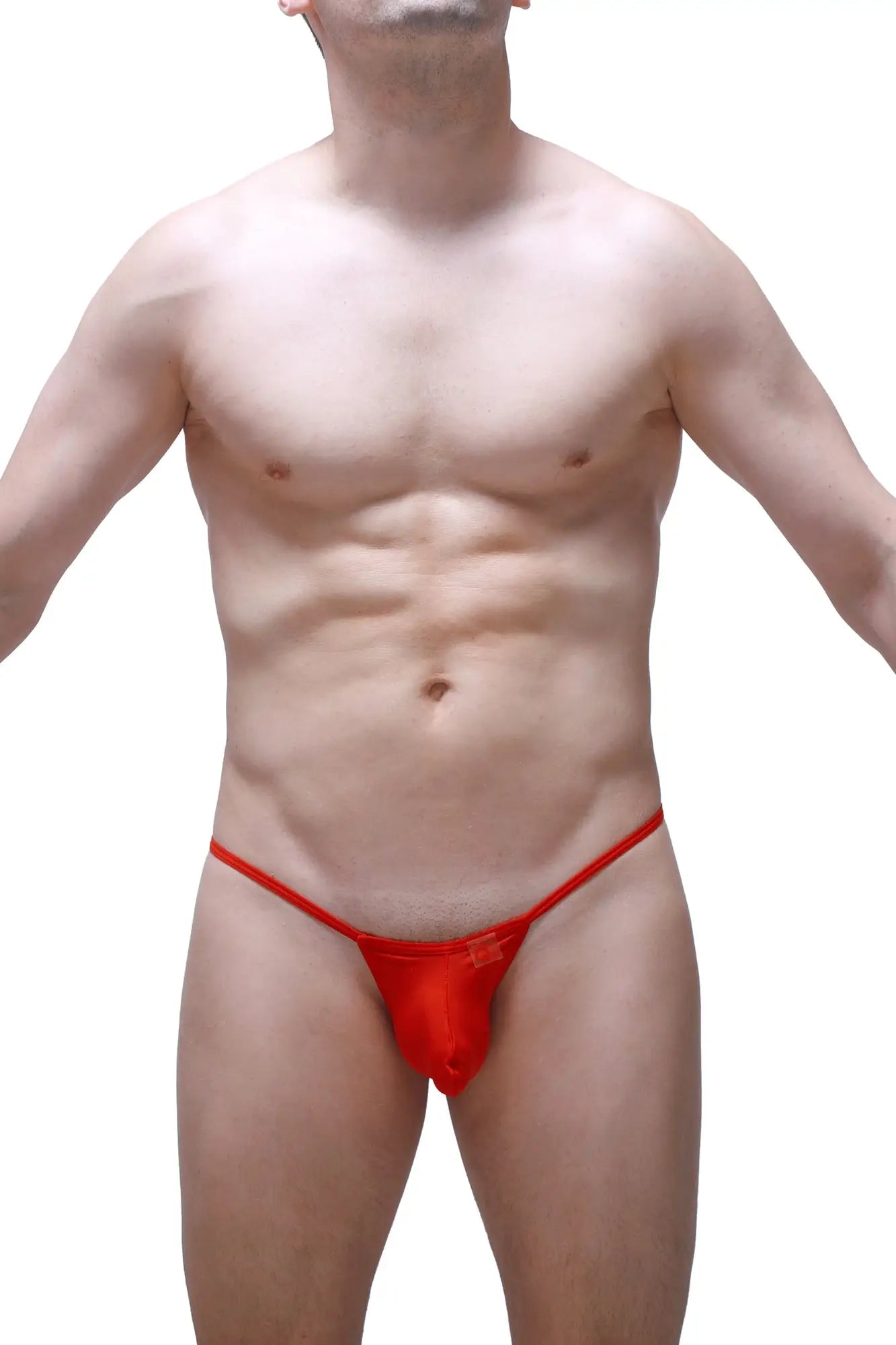 PetitQ thong Migny plum red sheer mesh thong with a sleek and minimalist design shown from the back side