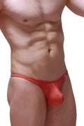 PetitQ thong Plellis blush red form-fitting satin finish with small logo on waistband shown from the back side