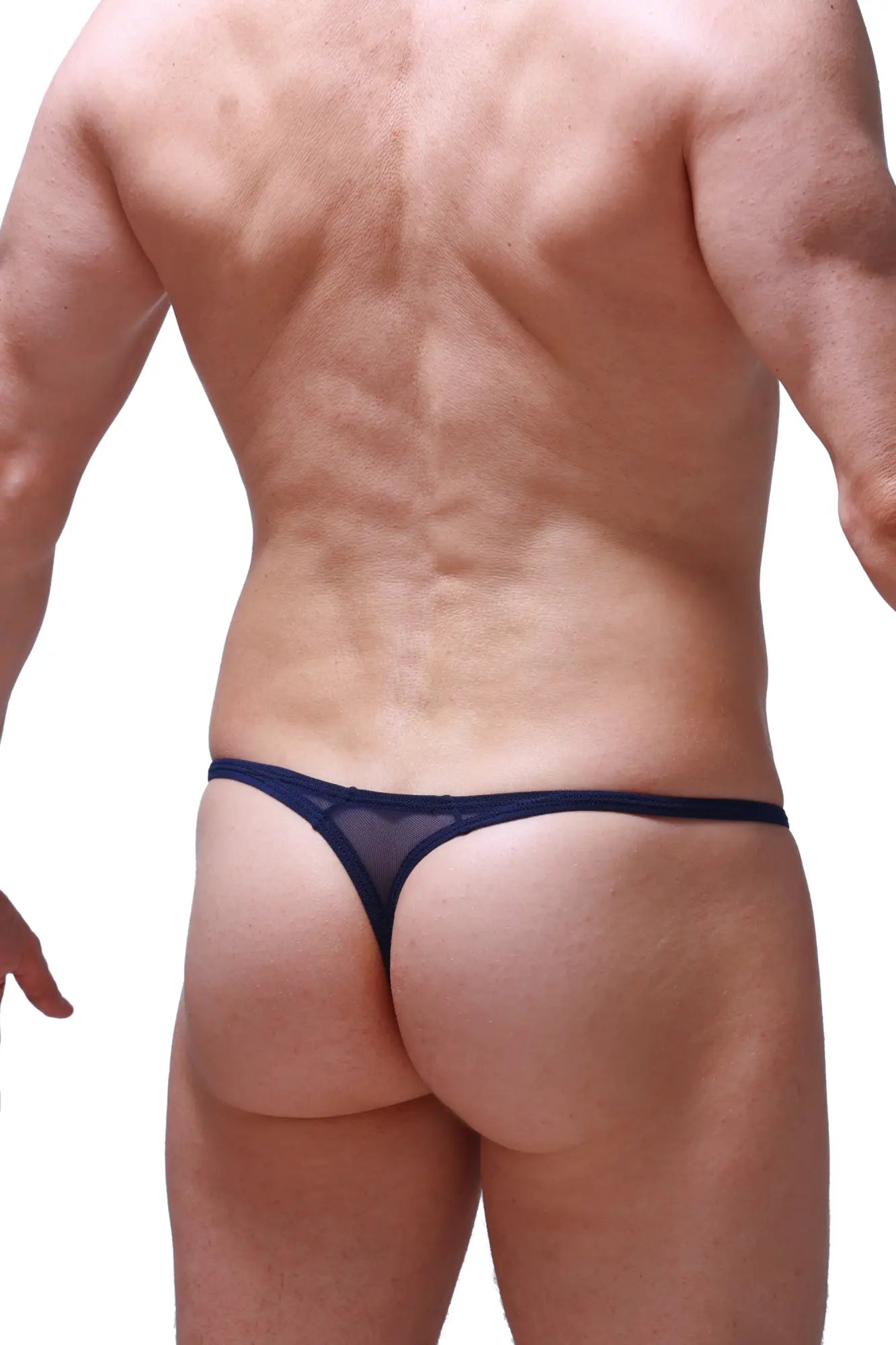 Navy blue sheer mesh thong petitq thong plellis net highlighting delicate net material and minimal coverage
