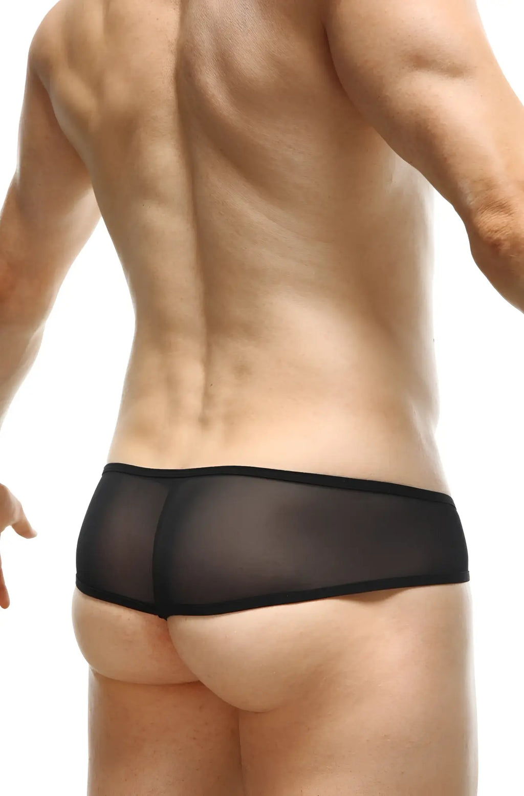 Black sheer mesh briefs with solid black waistband from petitq thong toga net collection front side view