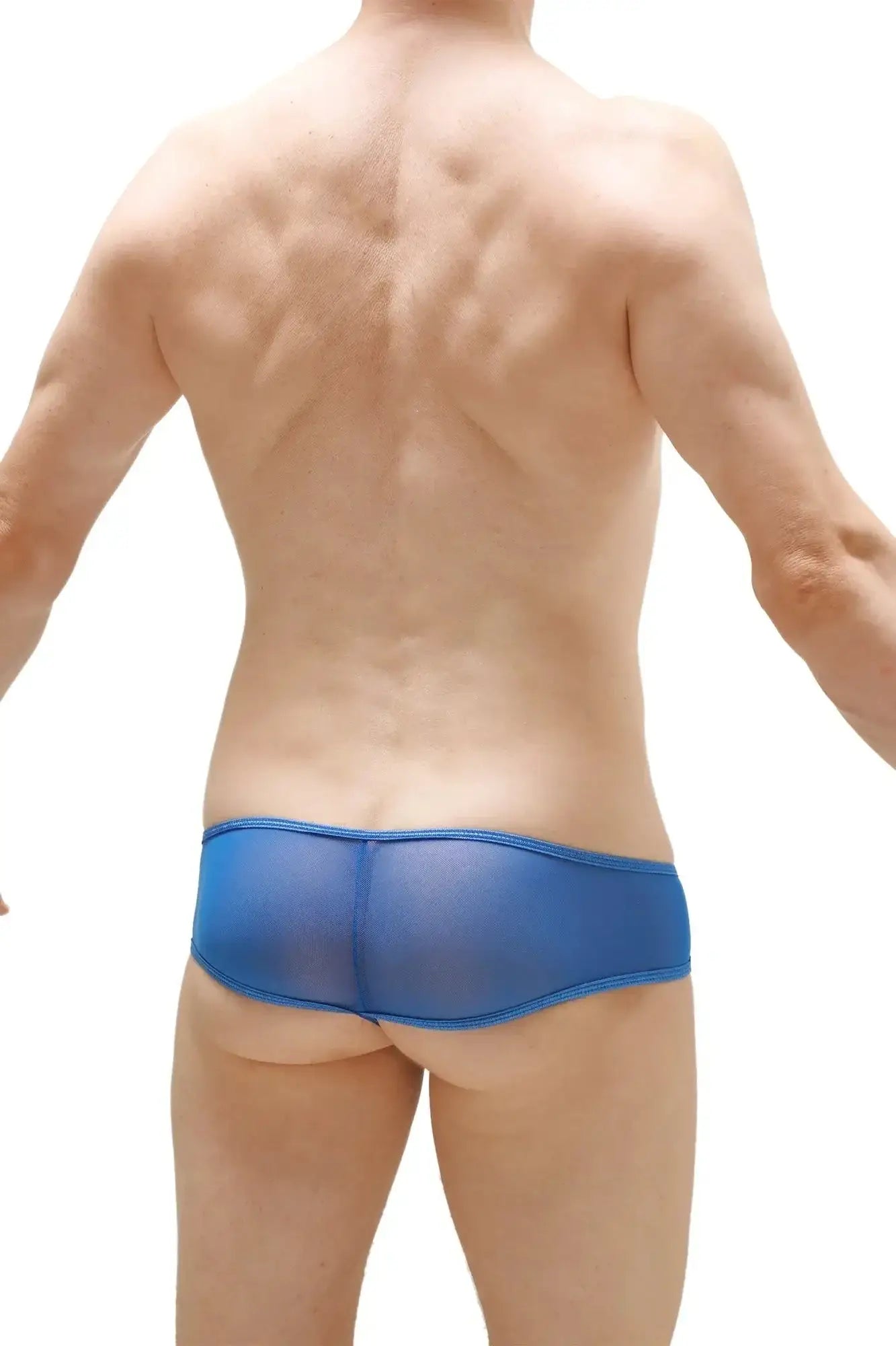 PetitQ thong toga net cobalt blue translucent mesh briefs showing front view with sheer net material