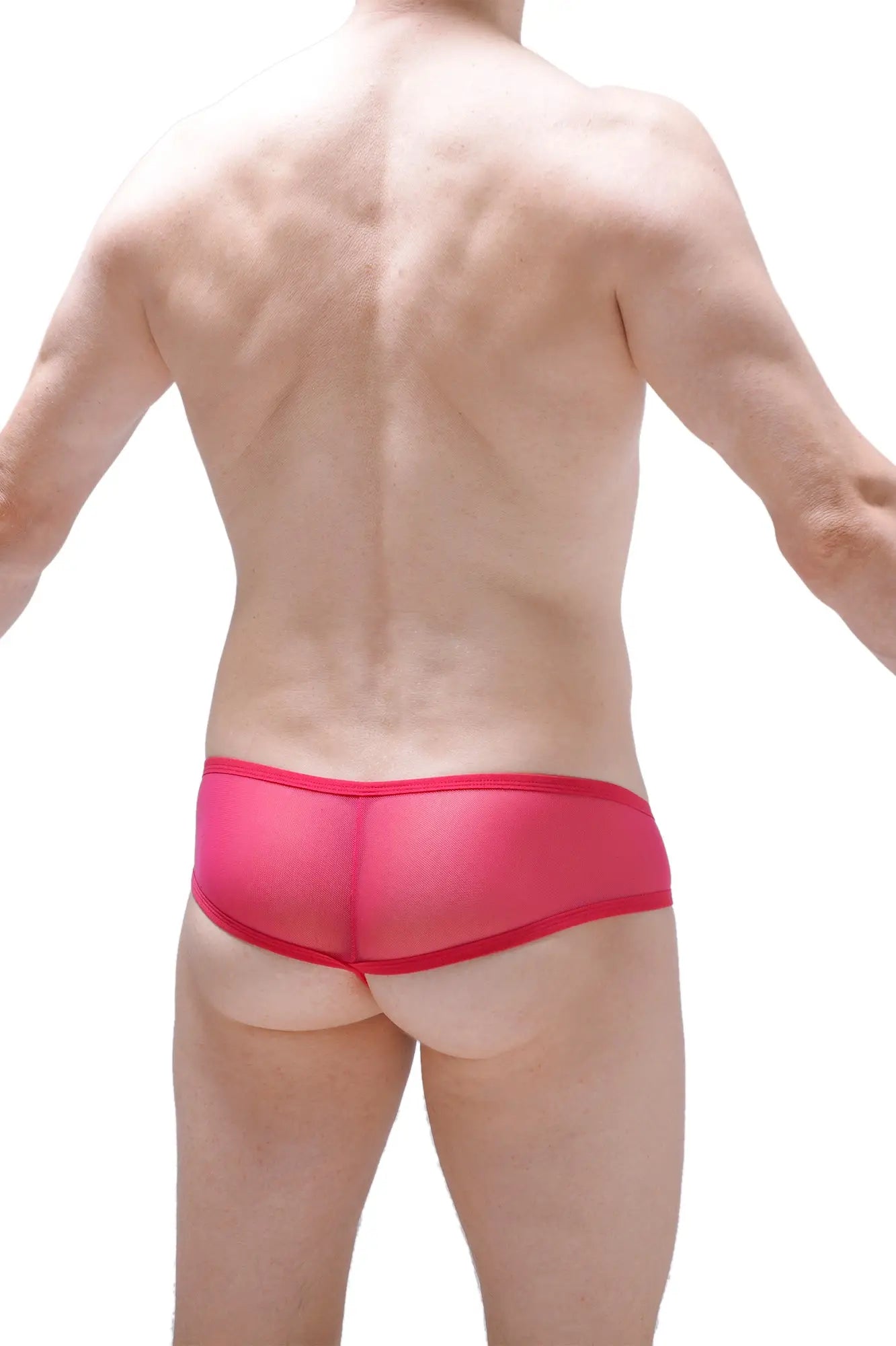 Bright pink sheer mesh briefs with a solid red waistband from PetitQ thong Toga Net Fuchsia collection