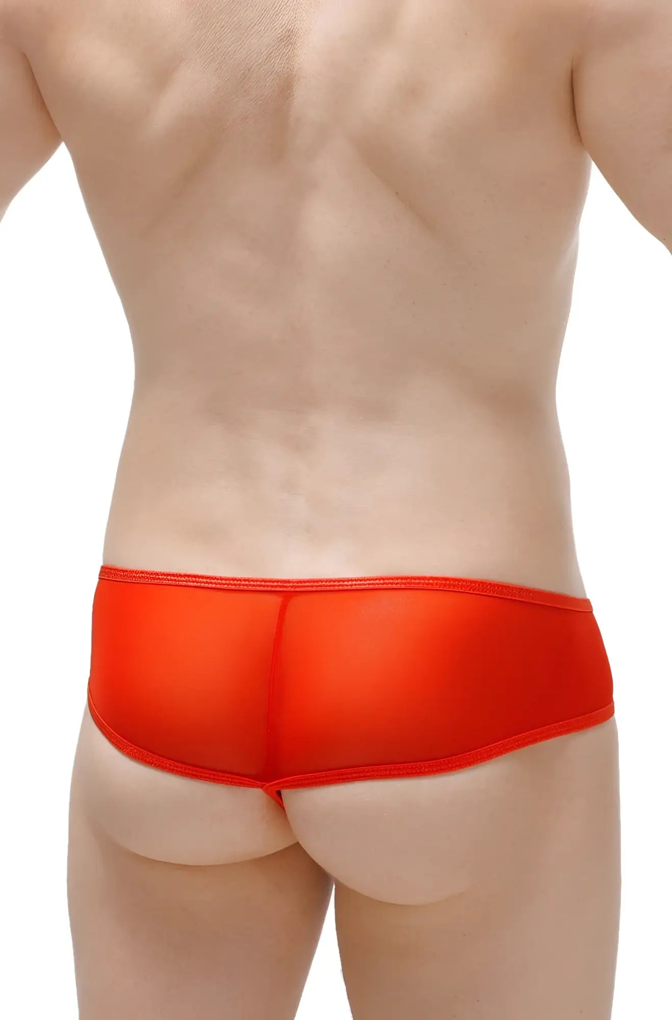 PetitQ thong Toga net red bright red sheer mesh briefs with a smooth elastic waistband front view