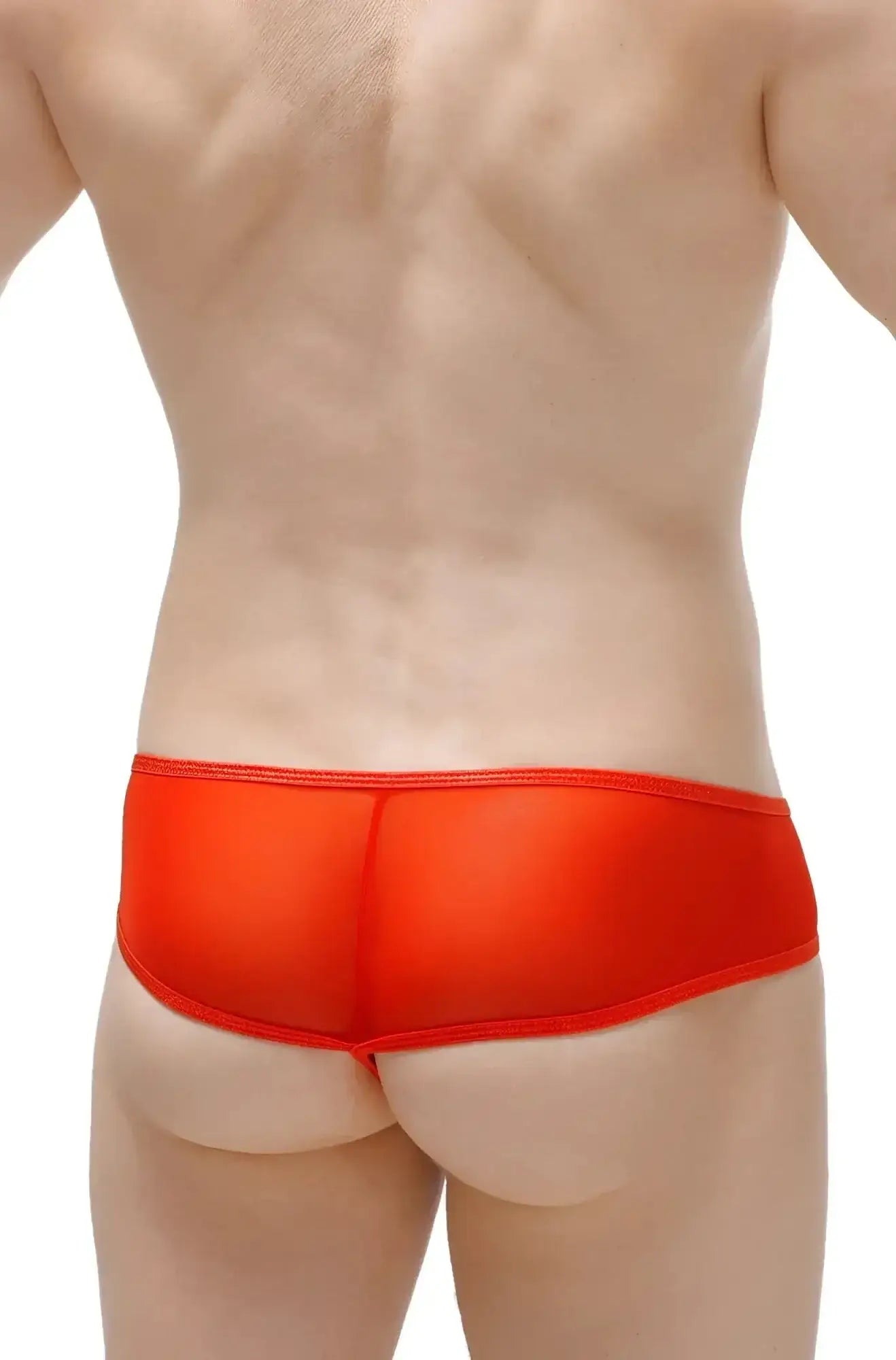 PetitQ thong Toga net red bright red sheer mesh briefs with a smooth elastic waistband front view