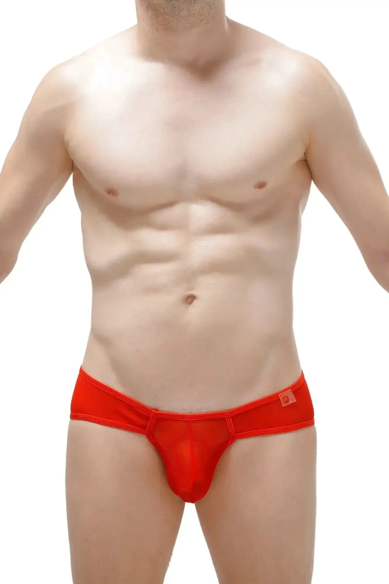 PetitQ thong toga net red bright red sheer mesh briefs with solid waistband and small square logo on the side