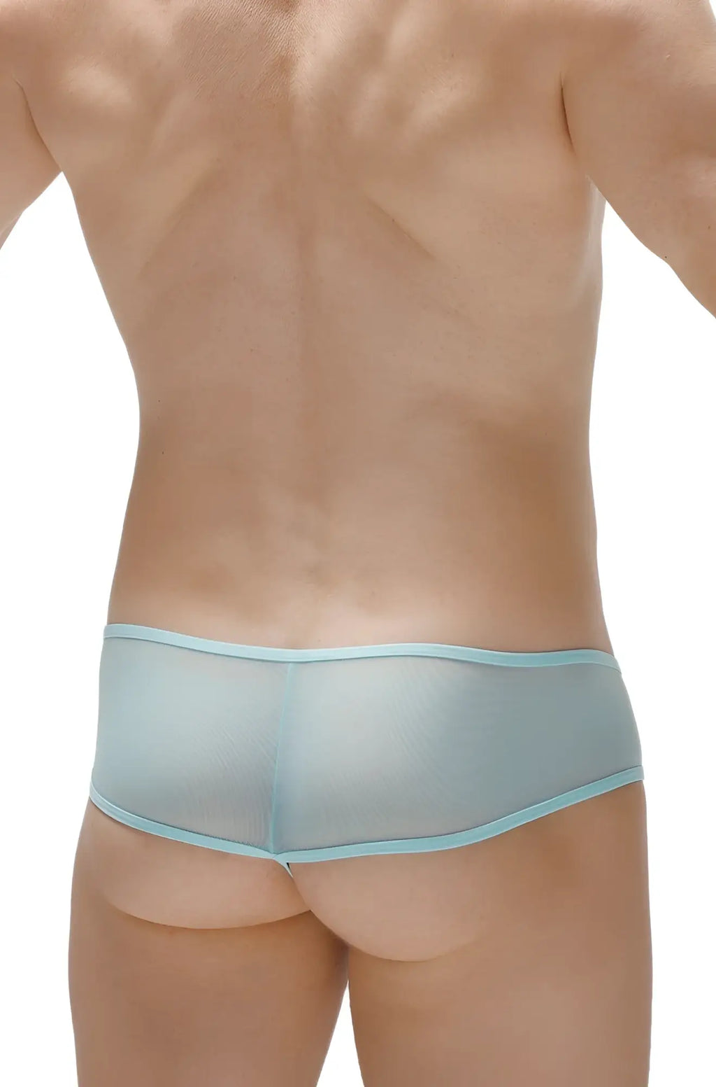 Light blue sheer mesh briefs with matching elastic waistband from petitq thong toga net teal collection