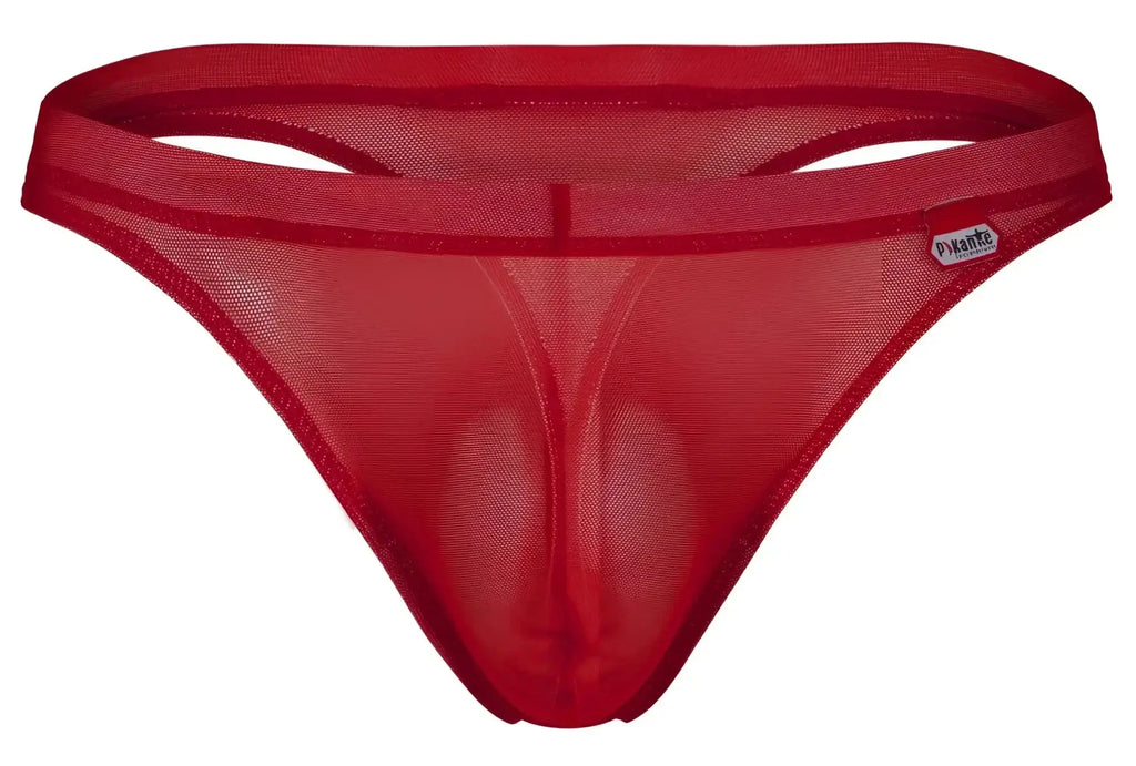 Front view of Pikante PIK 1823 red luxury mesh thong.