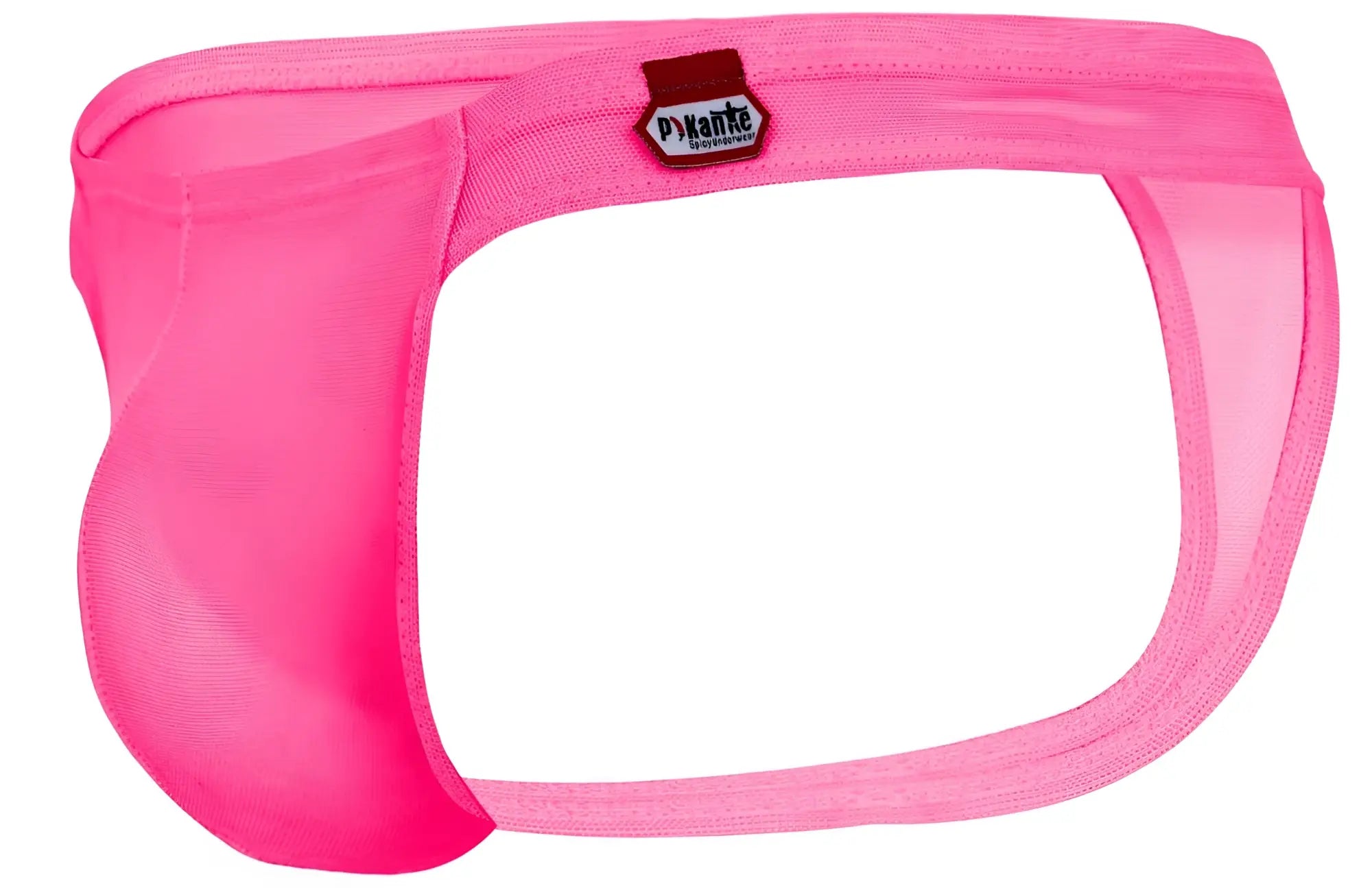 Bright pink sheer mesh men’s briefs with dyante label on waistband from pikante pik 2115 amusing thongs color fuchsia