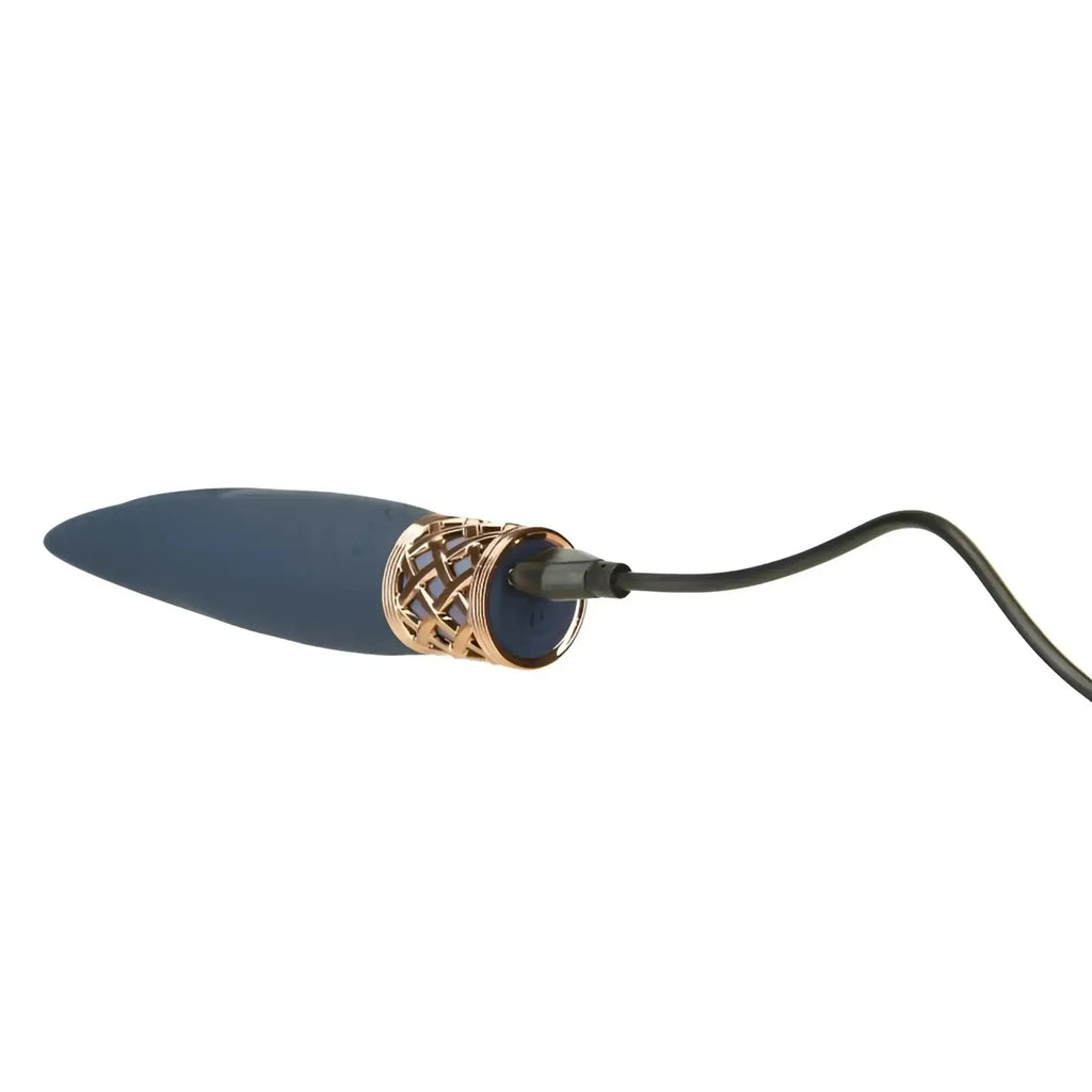 Navy blue silicone vibrator with rose gold mesh accent and charging cable from pillow talk secrets playful massager